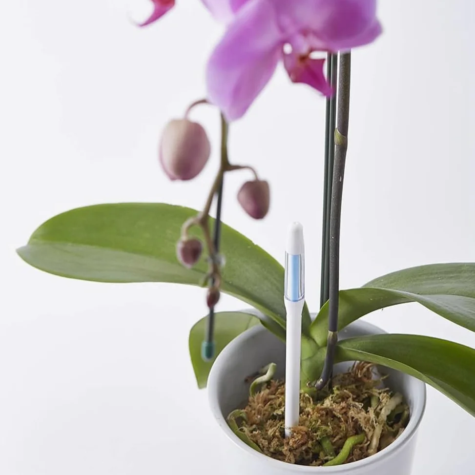 Aquameter Soil Aqua Meter Est un Testeur D'Humidité Du Sol pour Plantes D'Intérieur en Pot.