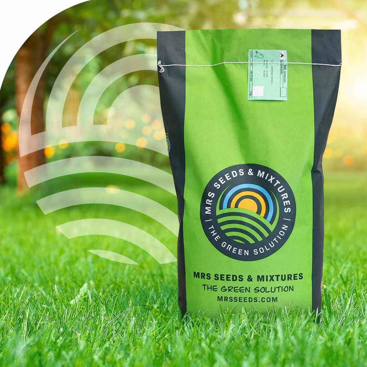 MRS Green Perfection Semences de gazon d'ornement 1 kg pour 50 m²