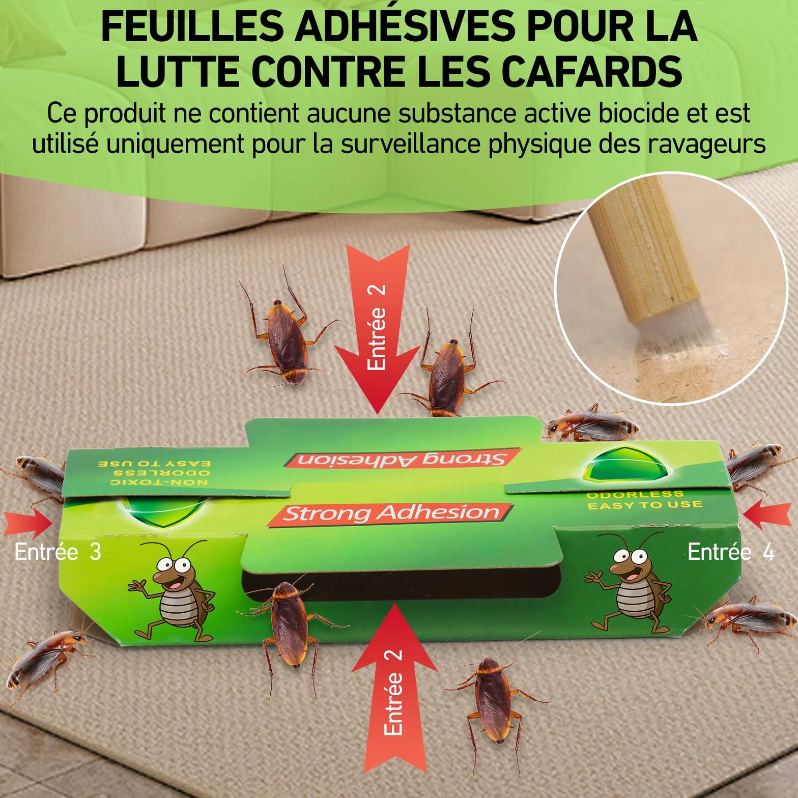Panneau Adhésif Anti-Cafards 20 Pièces, Surveillance des Nuisibles pour Maison Jardin Cuisine