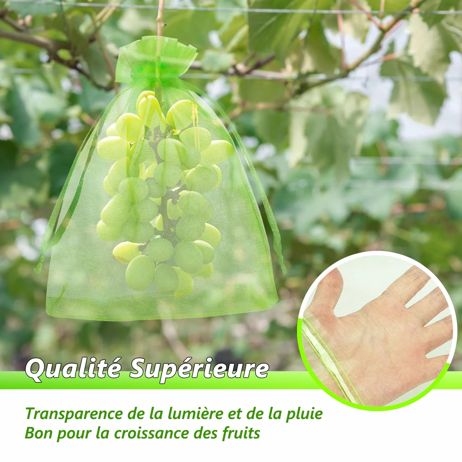 Sac de Raisin Net 15x20cm Filet Anti-Insectes Réutilisable 50pcs Protection Fruits Légumes Jardin
