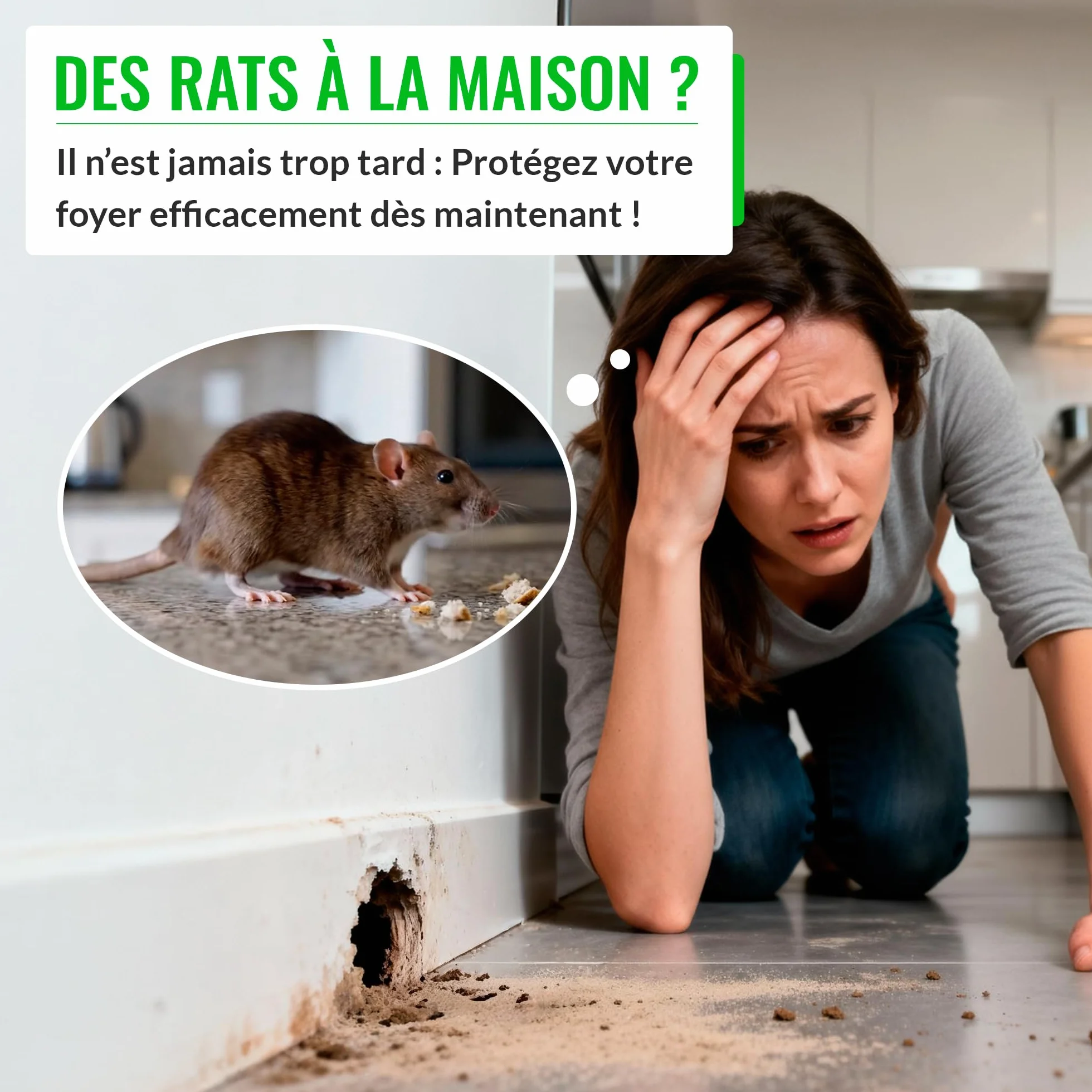Pièges à Rats et Souris Professionnels Mice&Co – Boîte d'Appât Raticide Inviolable Sécurisée