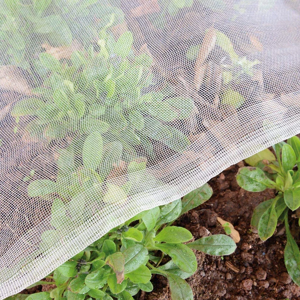 Jardin Filet Anti Insecte Potager: 2 x 10 m Maille Fine Protection pour Poireaux Arbre Fruitier Jardinage Voile de Plantes Blanche | Filet anti-insectes à mailles fines avec protection UV, oiseaux, fruits, nuisibles, cerises, mouches au chou pour légumes