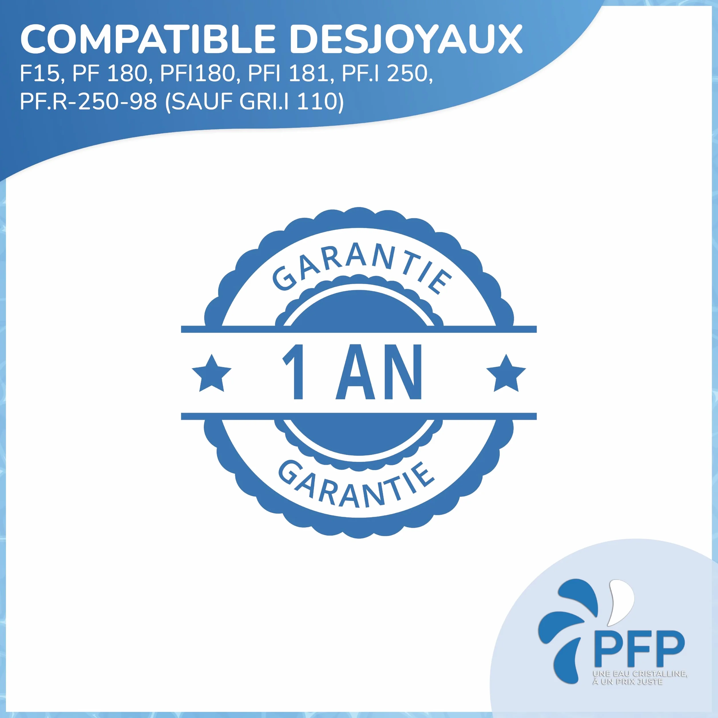 Poche Filtrante Compatible Piscine Desjoyaux 30 Microns Lot de 2 Eau Chargée