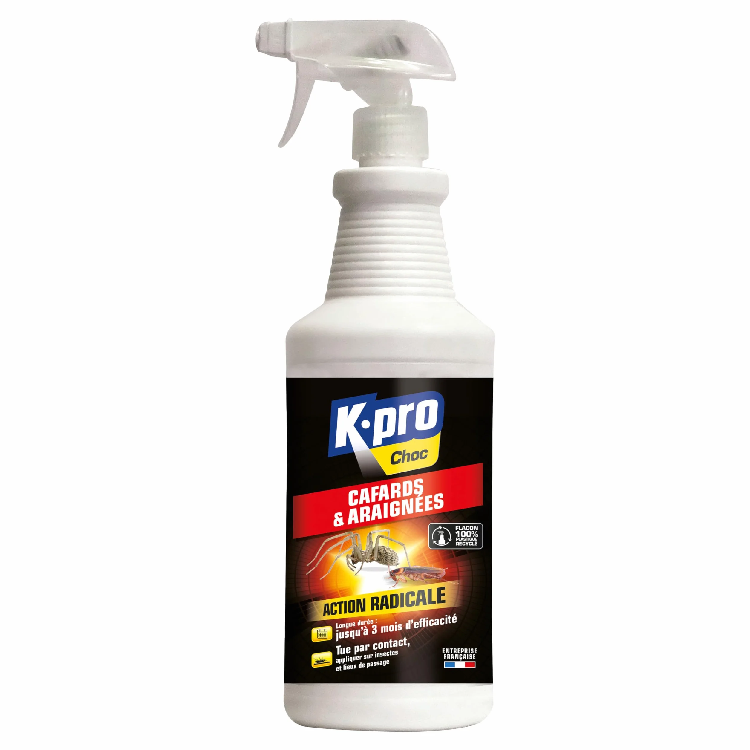 Spray Aérosol Anti Cafards et Araignées 1L Action Radicale Longue Durée Professionnel