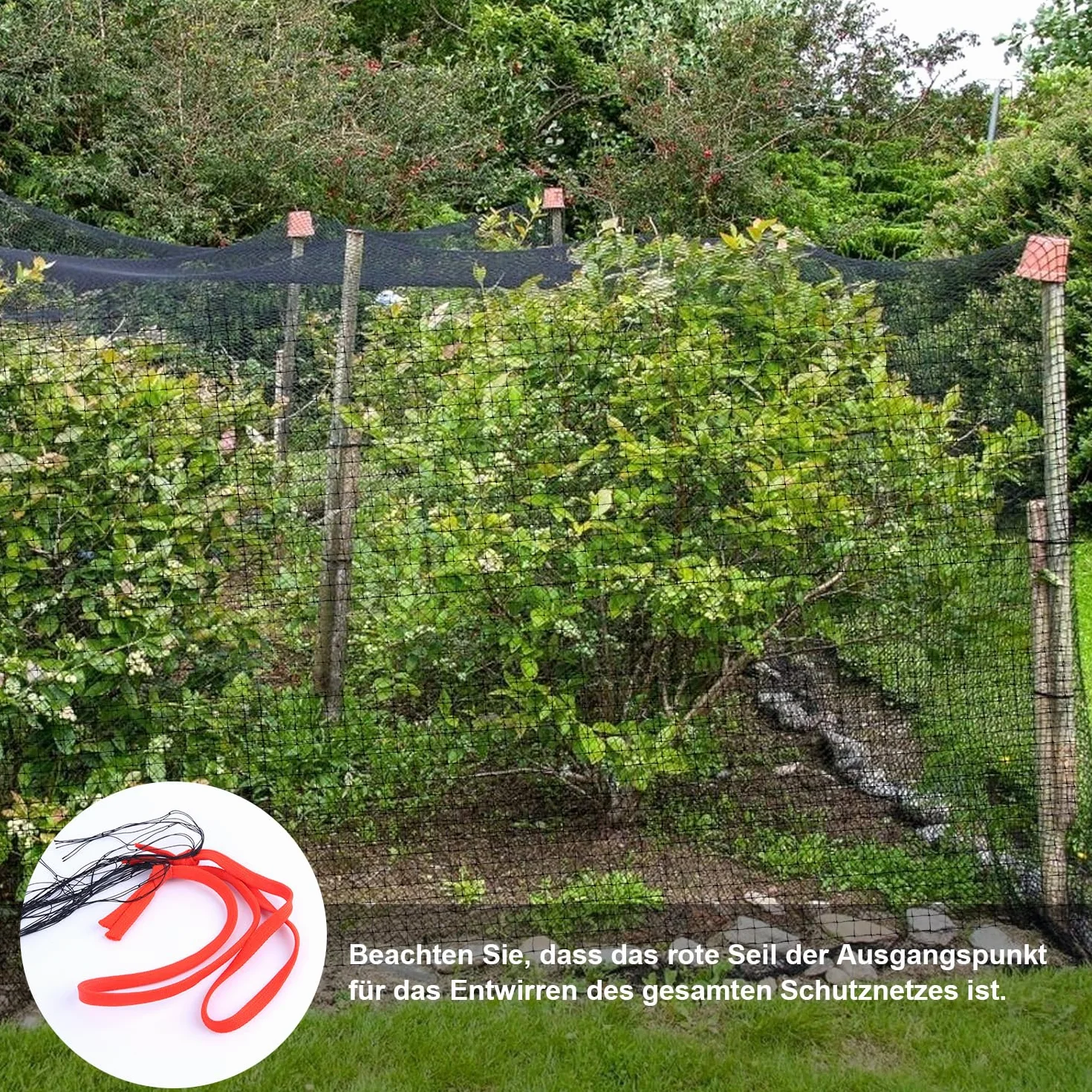 Filet de protection anti-oiseaux maille fine 8x8 m maillage 5 cm noir résistant aux intempéries UV