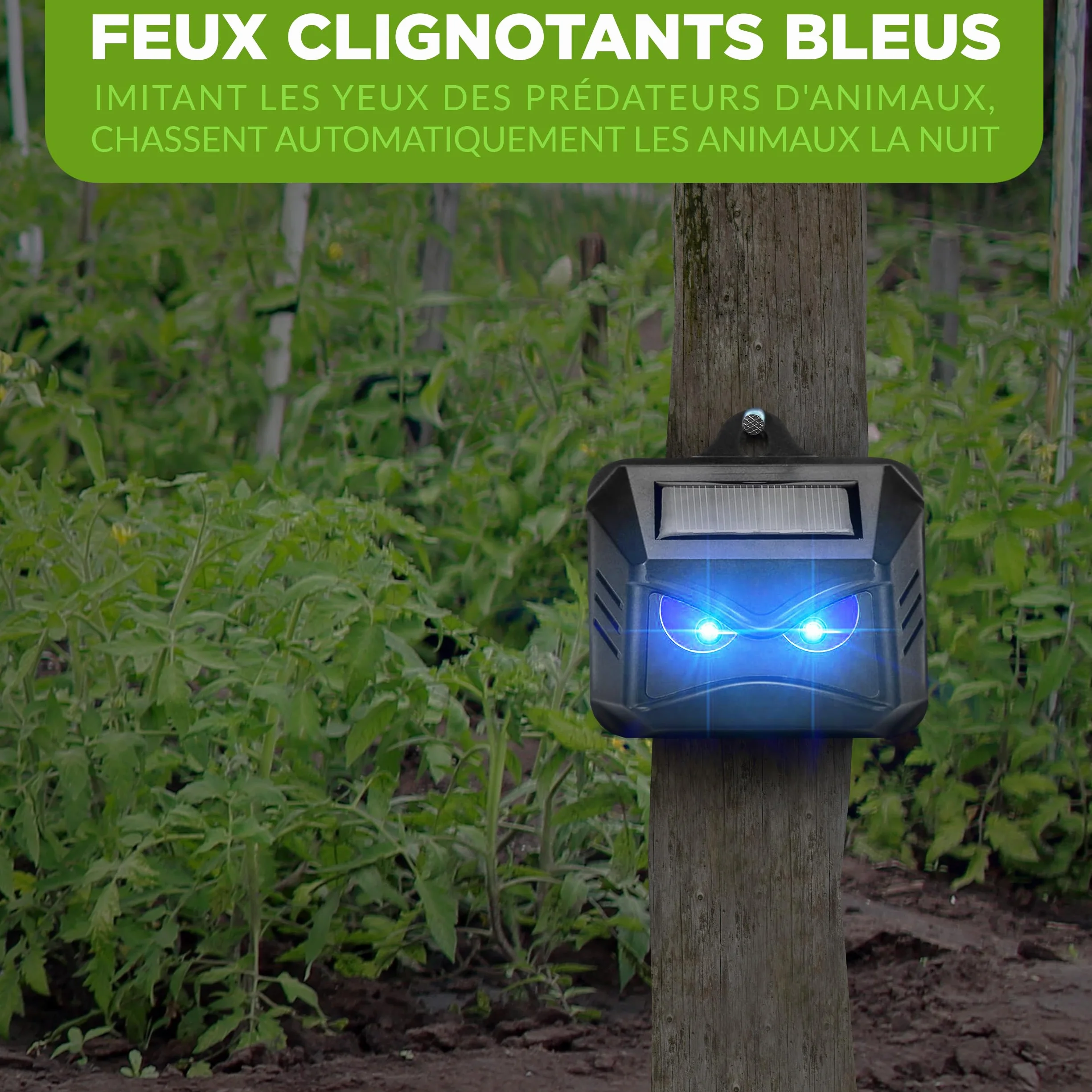 ISOTRONIC Répulsif Solaire Ratons Laveurs Cerfs Renards Sangliers Protection Animaux Sauvages LED Bleue 40 m² Lot de 4 Pièces Jardin