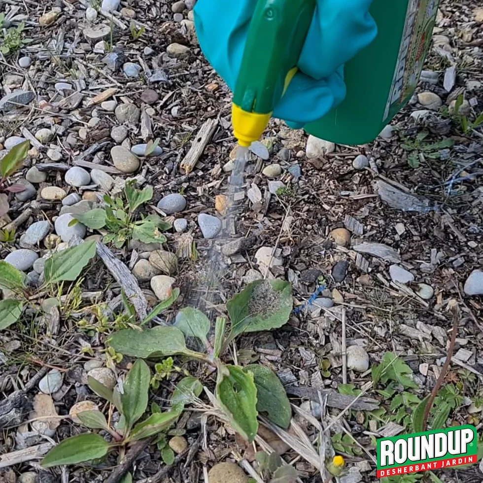 ROUNDUP RPO3A Désherbant Jardin Polyvalent 3 L Acide Pélargonique 100m²