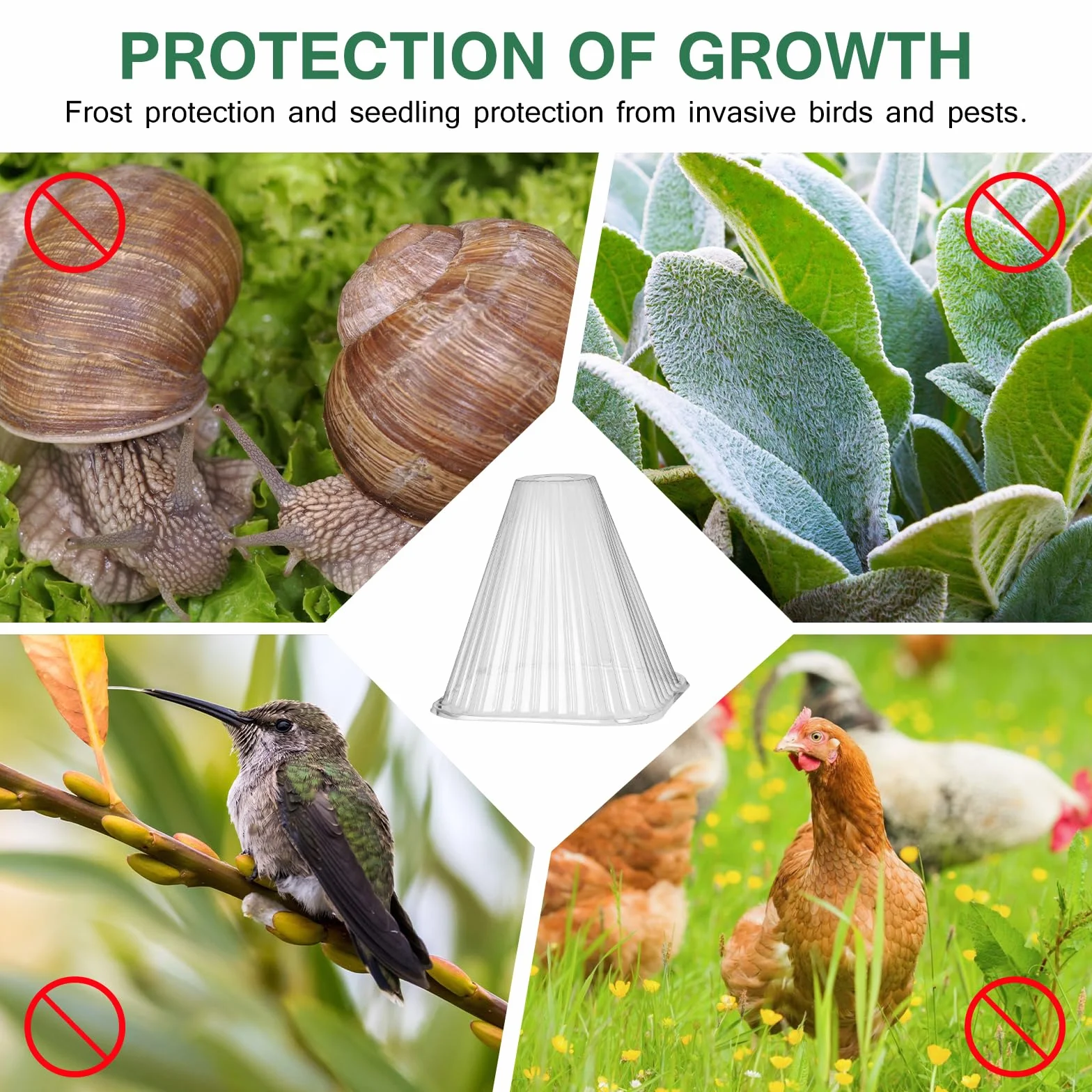 Cloches pour Plantes de Jardin 20PCS, Cloche Réutilisable Protection Plantes en Plastique