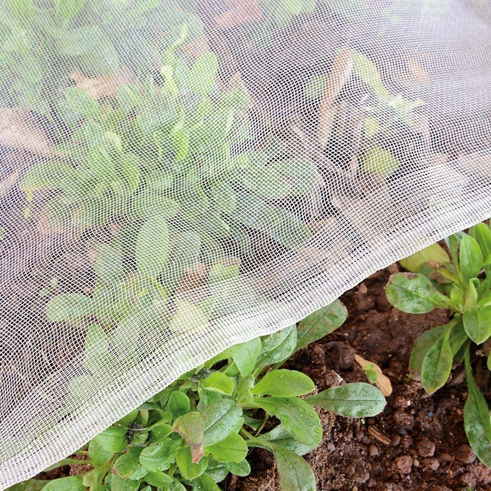 Filet anti-insectes de jardin en maille fine : 3 x 9,9 m, pour plantes, légumes, papillons, fleurs, fruits, argent