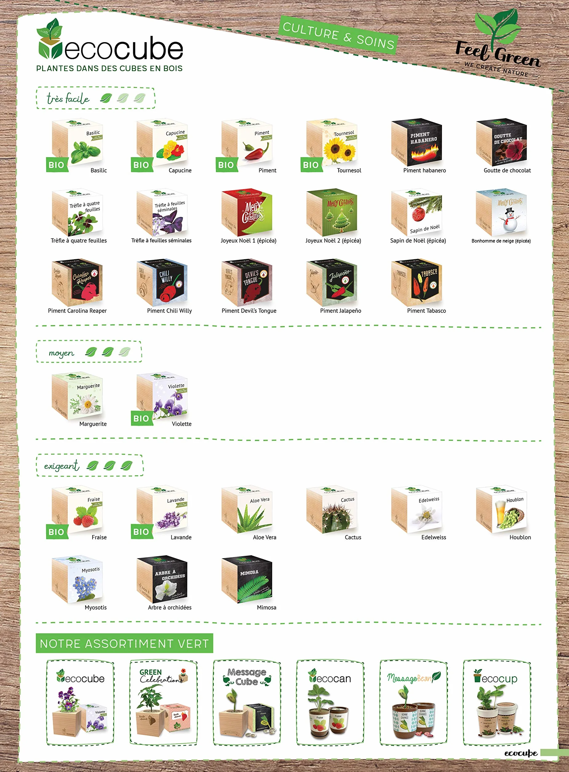 Feel Green Ecocube Trèfle À Quatre Feuilles Kit Prêt-à-Pousser 7.5cm