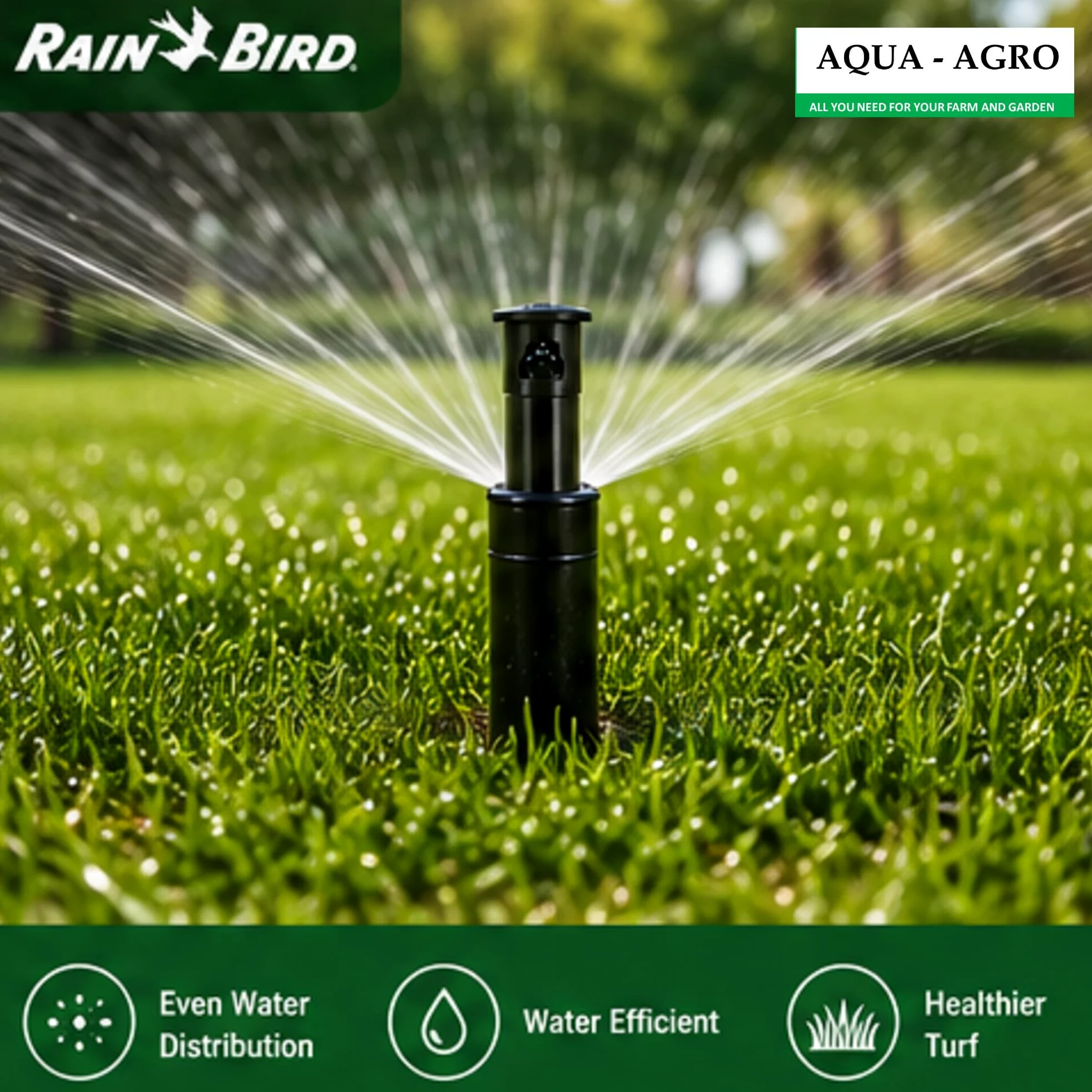 Rain Bird 902552 Falcon 6504 Series FC, Noir