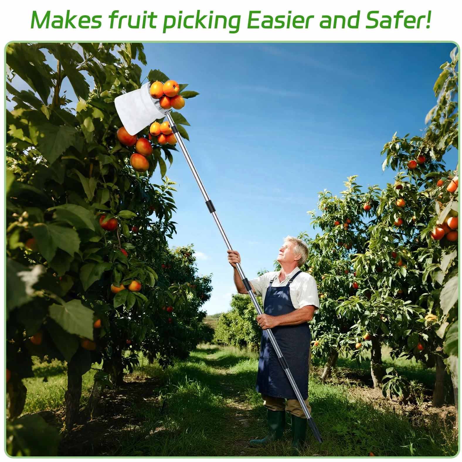 BURMONG Outil de cueillette de fruits de 4 m avec poteau en acier inoxydable et panier souple – Récolteuse de fruits réglable pour pomme, mangue, avocat, orange, poire, citron et plus encore – Léger