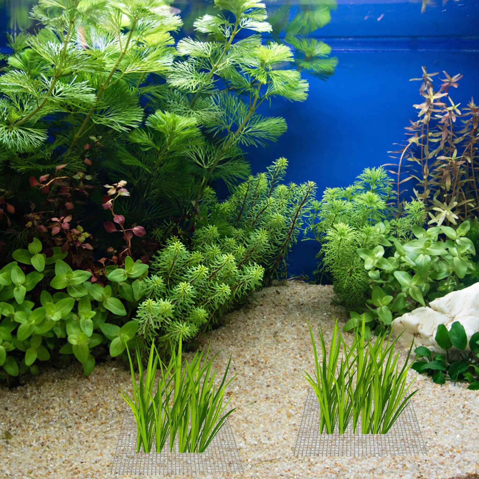 Filet en Acier Inoxydable Argenté 15pcs pour Mousse Aquatique et Java Moss, Maille Solide Résistante Accessoire Aquarium