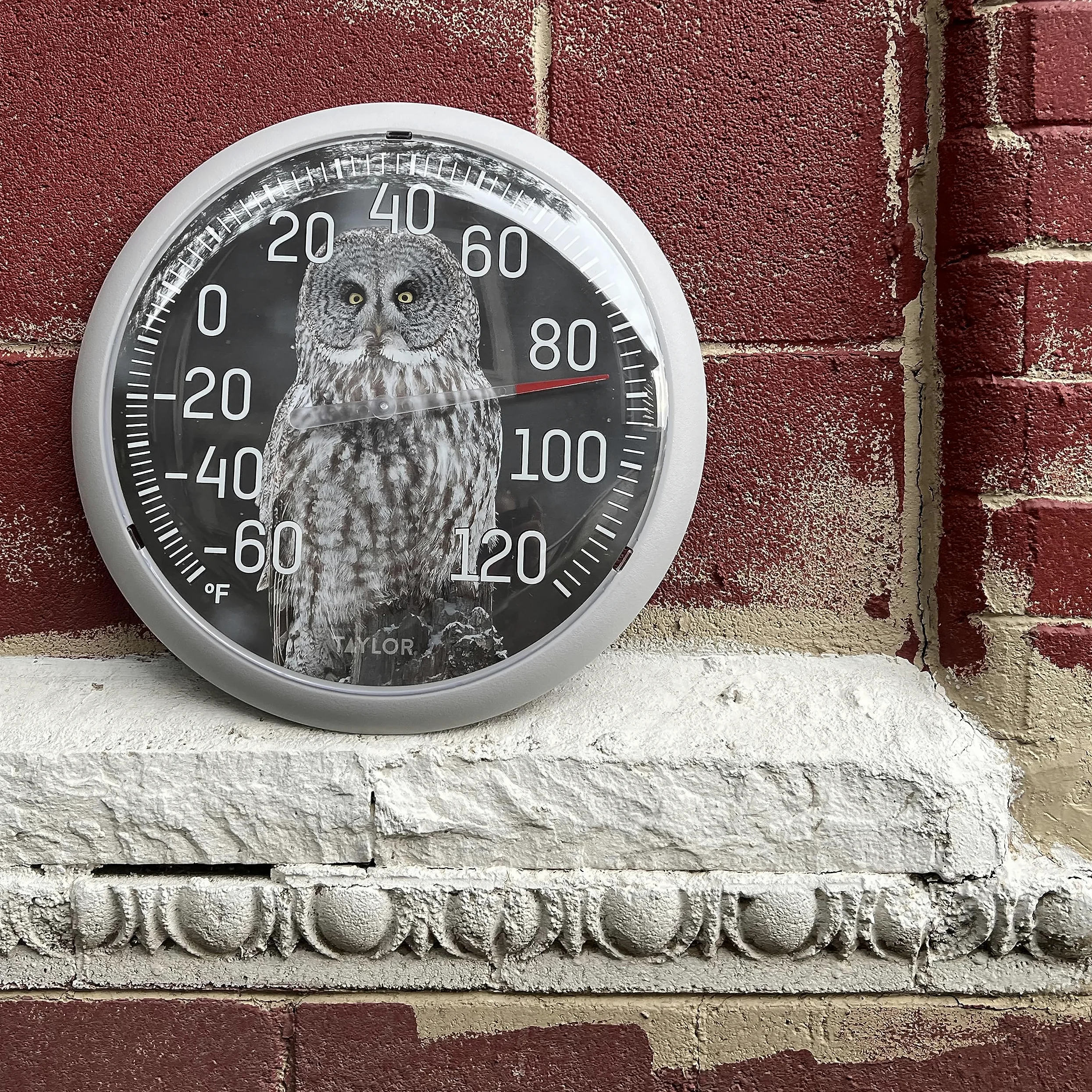 Taylor Nature Series Thermomètre d'intérieur et d'extérieur en forme de hibou, décoration murale facile à lire pour terrasse, piscine, cour, jardin ou garage, 33,2 cm, lunette grise