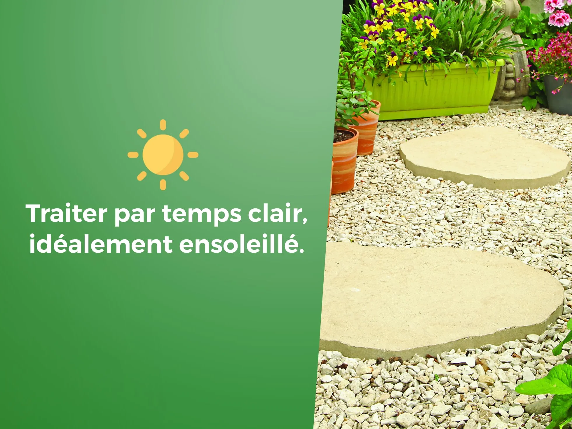 PROTECT EXPERT Désherbant Polyvalent Concentré 700ml PROHERBIO700 Jusqu’à 58m²