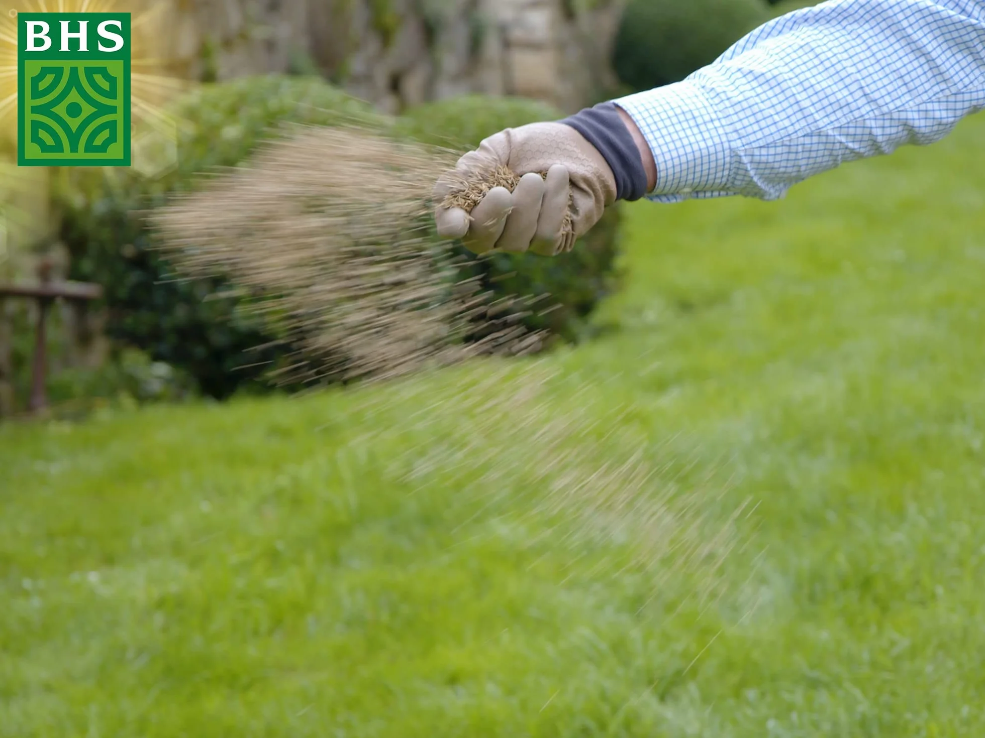 Gazon Rustique BHS GRU1 1kg 40m² Résistant Robuste Tous Terrains Climats