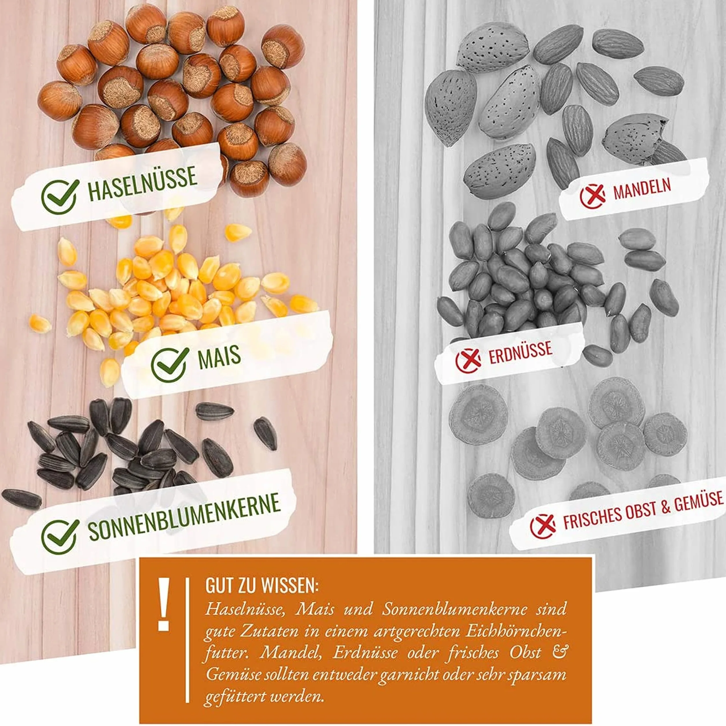 Mélange pour Écureuils et Tamias 2 kg - Aliments de Première Qualité avec Poudre d'Amande et Graines d'Arachides