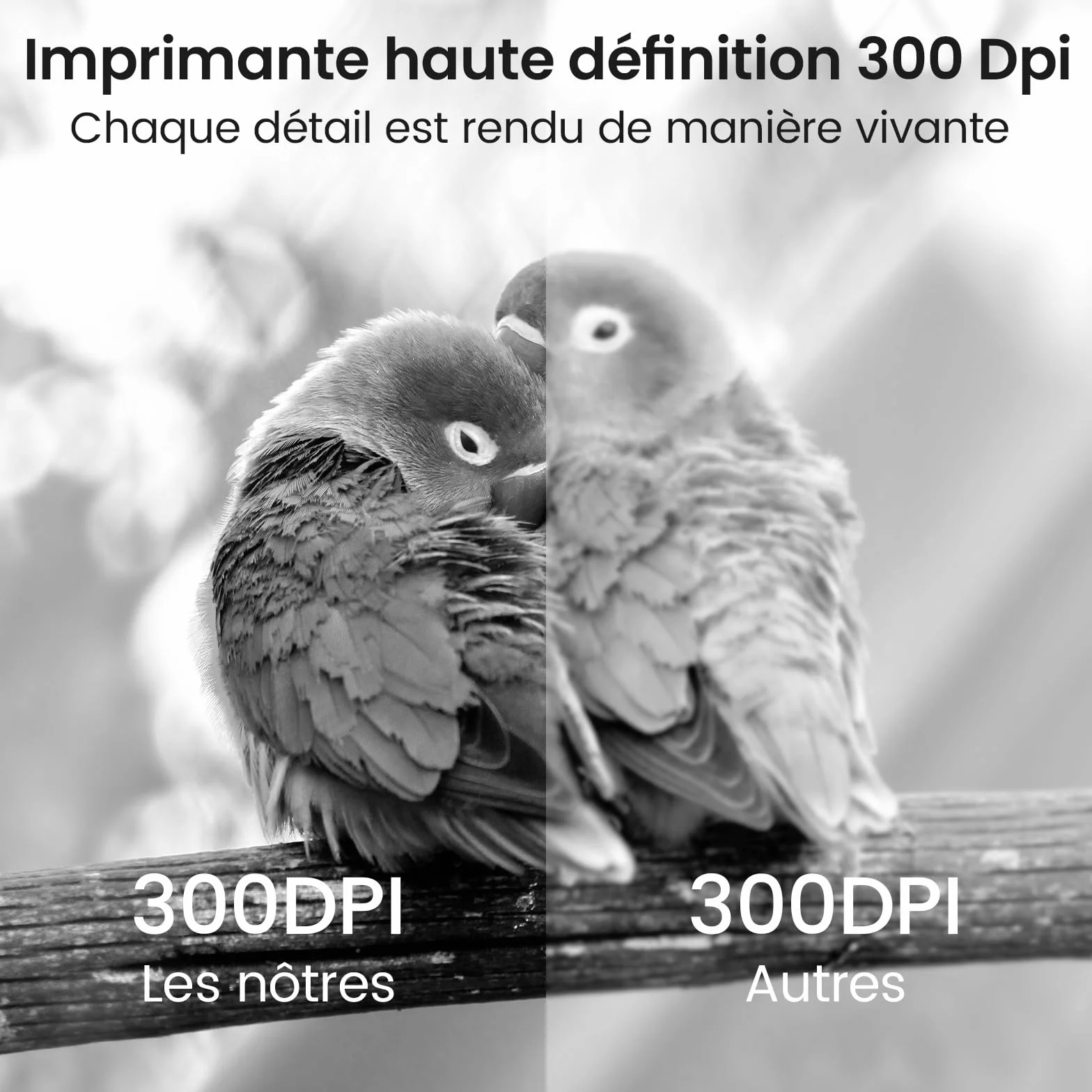 Itari M832 Imprimante Thermique A4 304dpi Portable avec 4 Rouleaux Papier