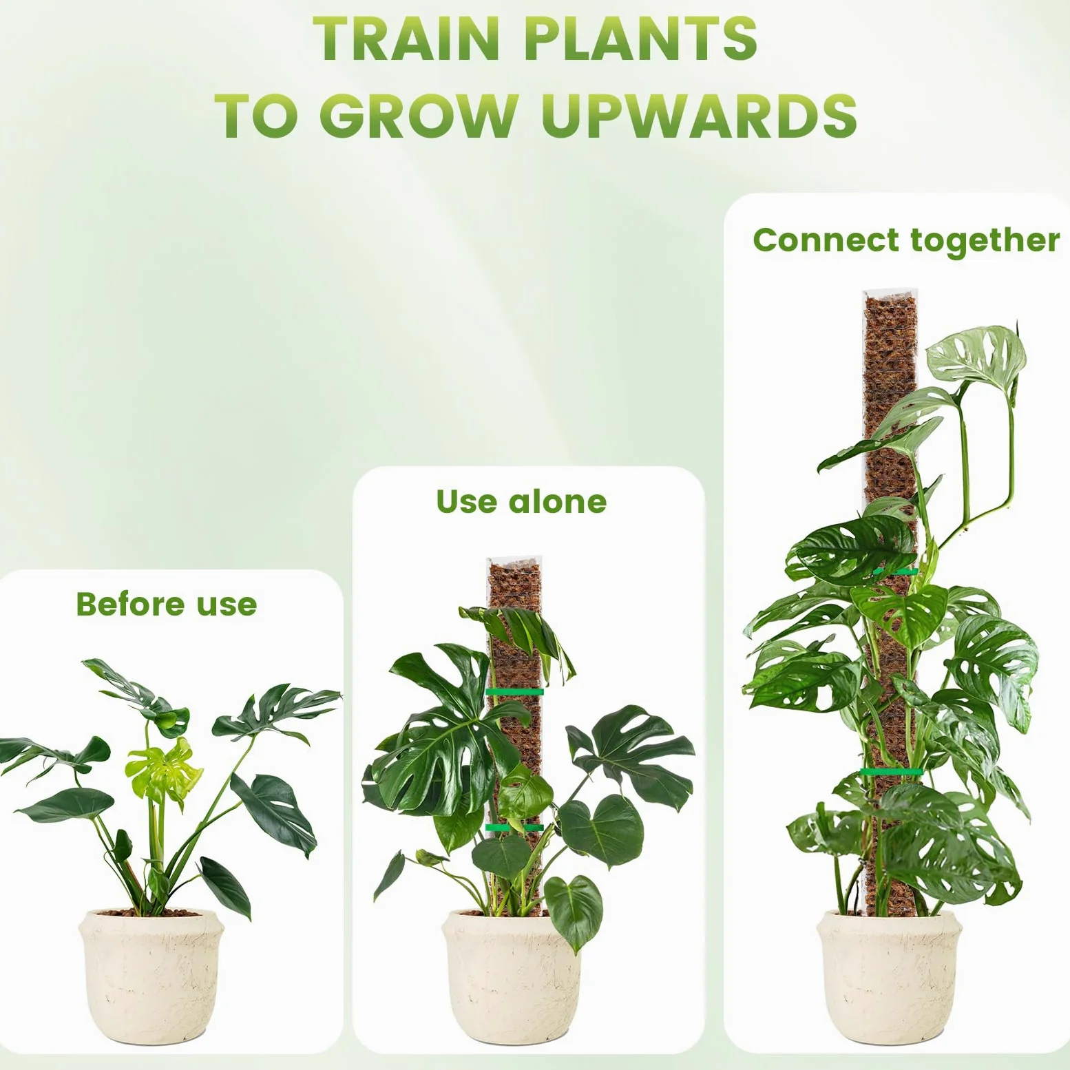 EOX Lot de 4 piquets en plastique de 61 cm pour Monstera, grands poteaux en forme de D pour plantes grimpantes, travail avec mousse de sphaigne, piquets de 228,6 cm, attaches de jardin