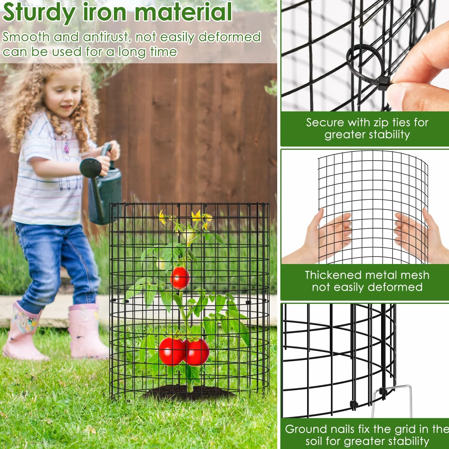 Protecteur de Plantes Inox 30,5 cm Cage de Protection pour Jardin