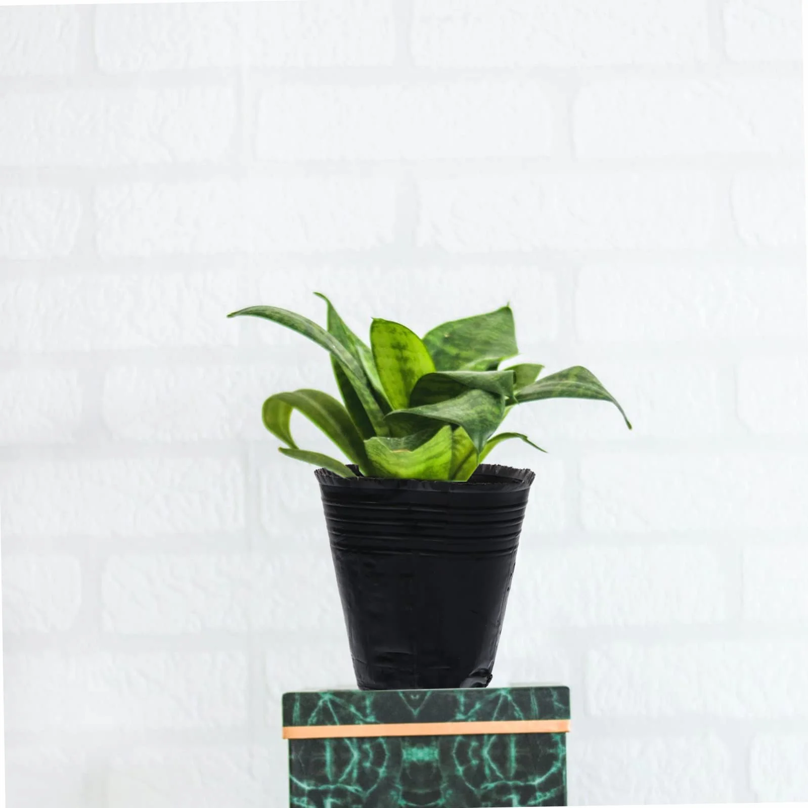 Hemobllo 500 pièces Pots de Nutrition pour Plantes Contenants de Repiquage avec Drainage Godets de Culture Jardinage Lot
