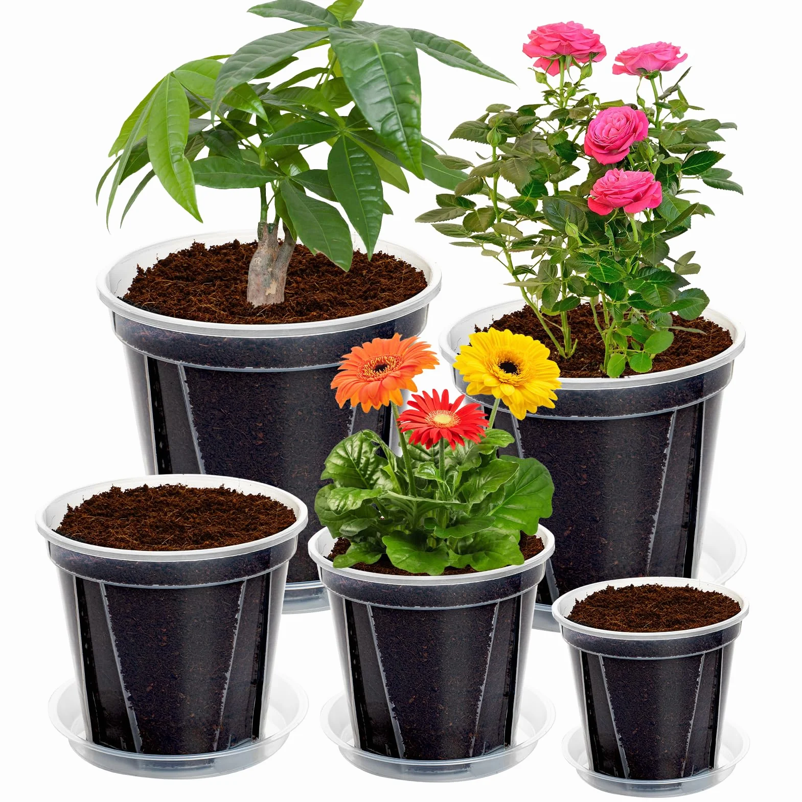 Pots Transparents avec Trou de Drainage, 10-16 cm, Renforcés avec Soucoupe, Pack Variété Plastique pour Semis