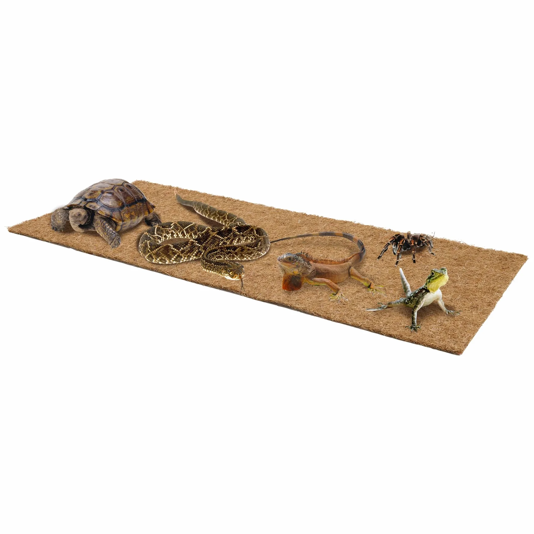 La Cordeline Lot 3 Tapis en Fibre de Coco Naturel 40x100 cm 900g/m² Marron