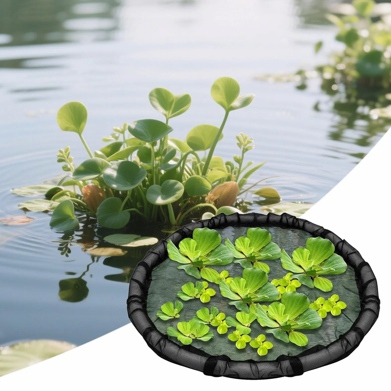Panier Flottant pour Plante de Bassin 45 cm Barrière Flottante Maille pour Île Flottante