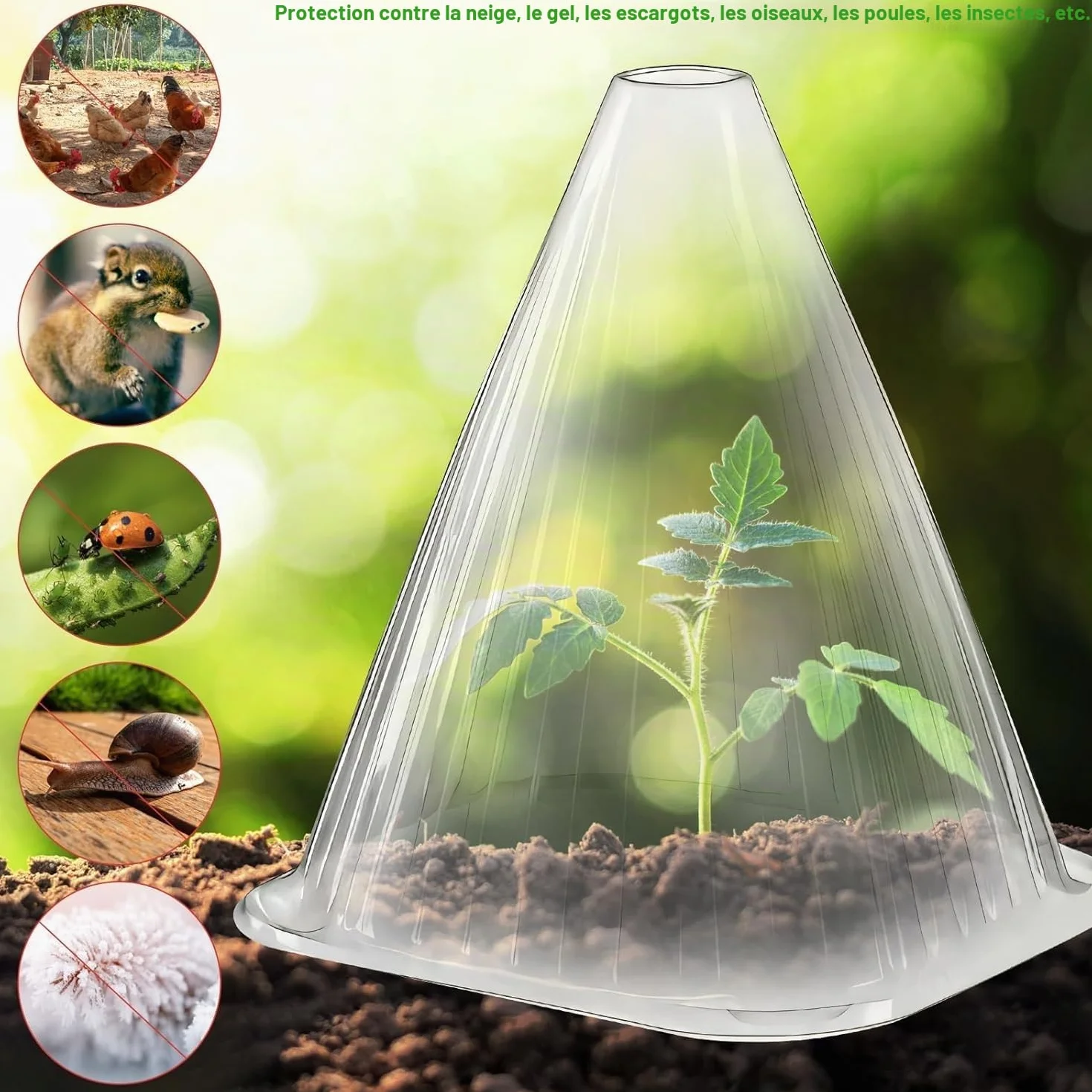 KAHEIGN 20 Pièces Cloches pour Plantes de Jardin 22CM x 19CM Plastique Protection Contre Gel