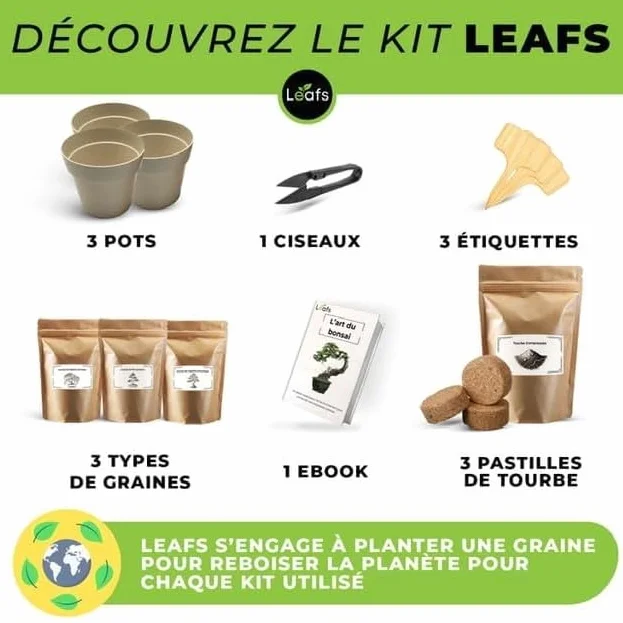 Kit Bonsai Plantation Coffret Cadeau Original Homme Femme Graines Glysines Pin Copalme Plantes Intérieur Extérieur