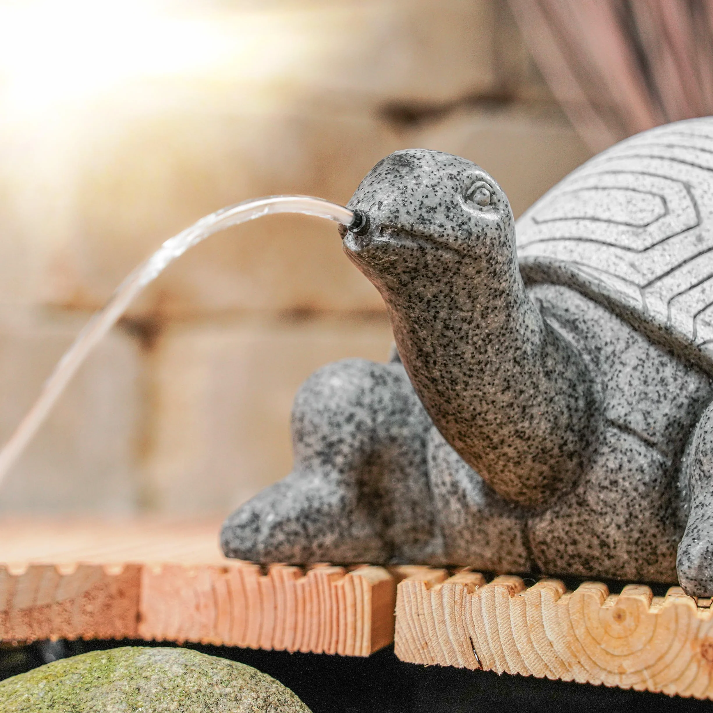 Esotec Fontaine Solaire Kit avec Tortue Pompe Submersible Statue Jardin 17 cm
