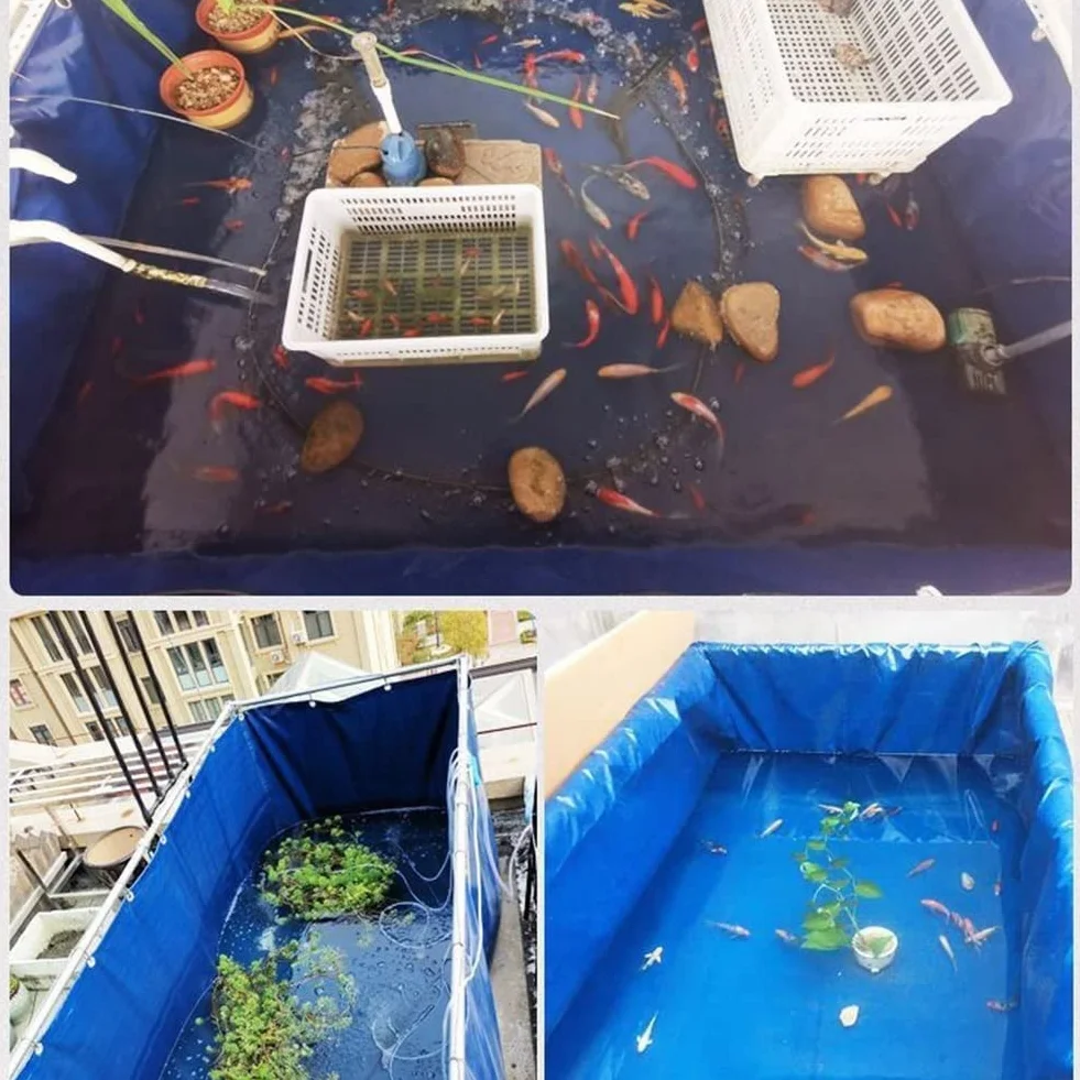 Aquarium d'extérieur Portable pour Poissons d'eau de mer - Piscine en Toile PVC avec vanne de vidange, la Solution de Stockage d'eau idéale pour Les carpes koï, Les Aquariums et Les Poissons