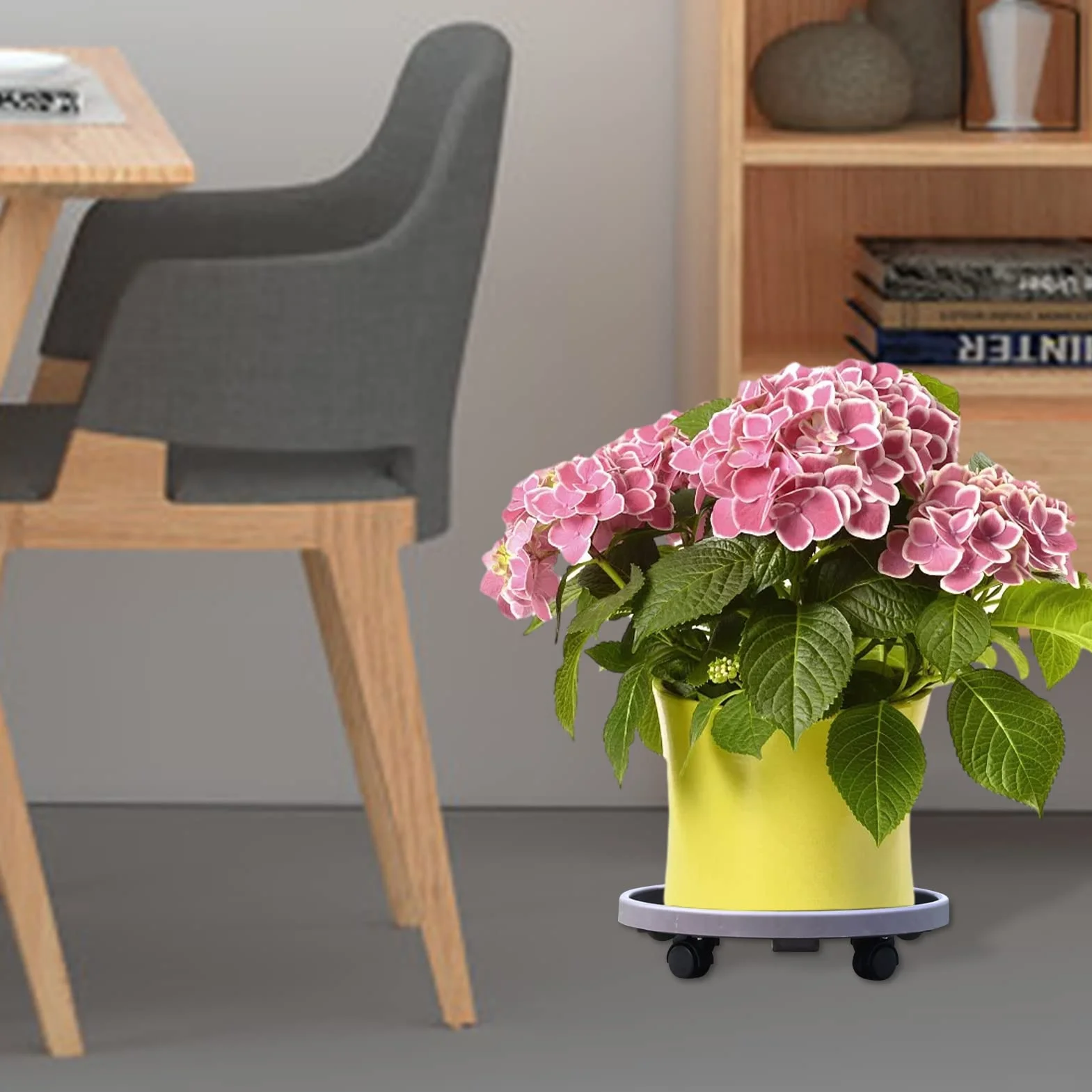 Support de Pot de Fleurs à Roues 23CM Chariot à roulettes Plantes Plateau à roulettes Intérieur Extérieur
