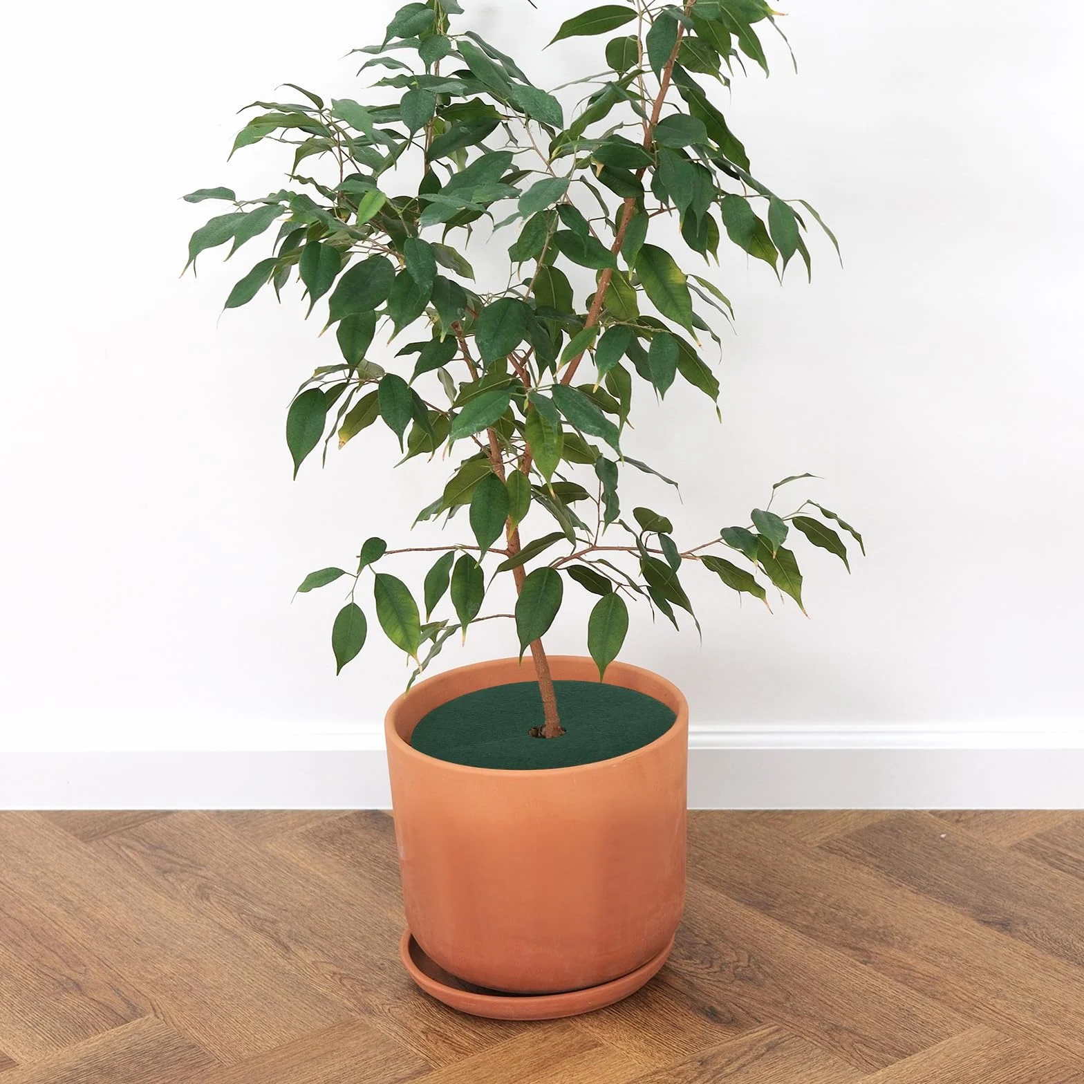 Tapis de Protection pour Arbres Anti-Herbes Diamètre 32cm 10 Pièces