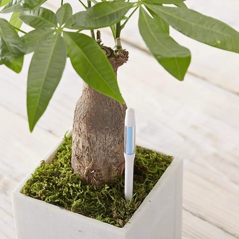 Aquameter Soil Aqua Meter Est un Testeur D'Humidité Du Sol pour Plantes D'Intérieur en Pot.