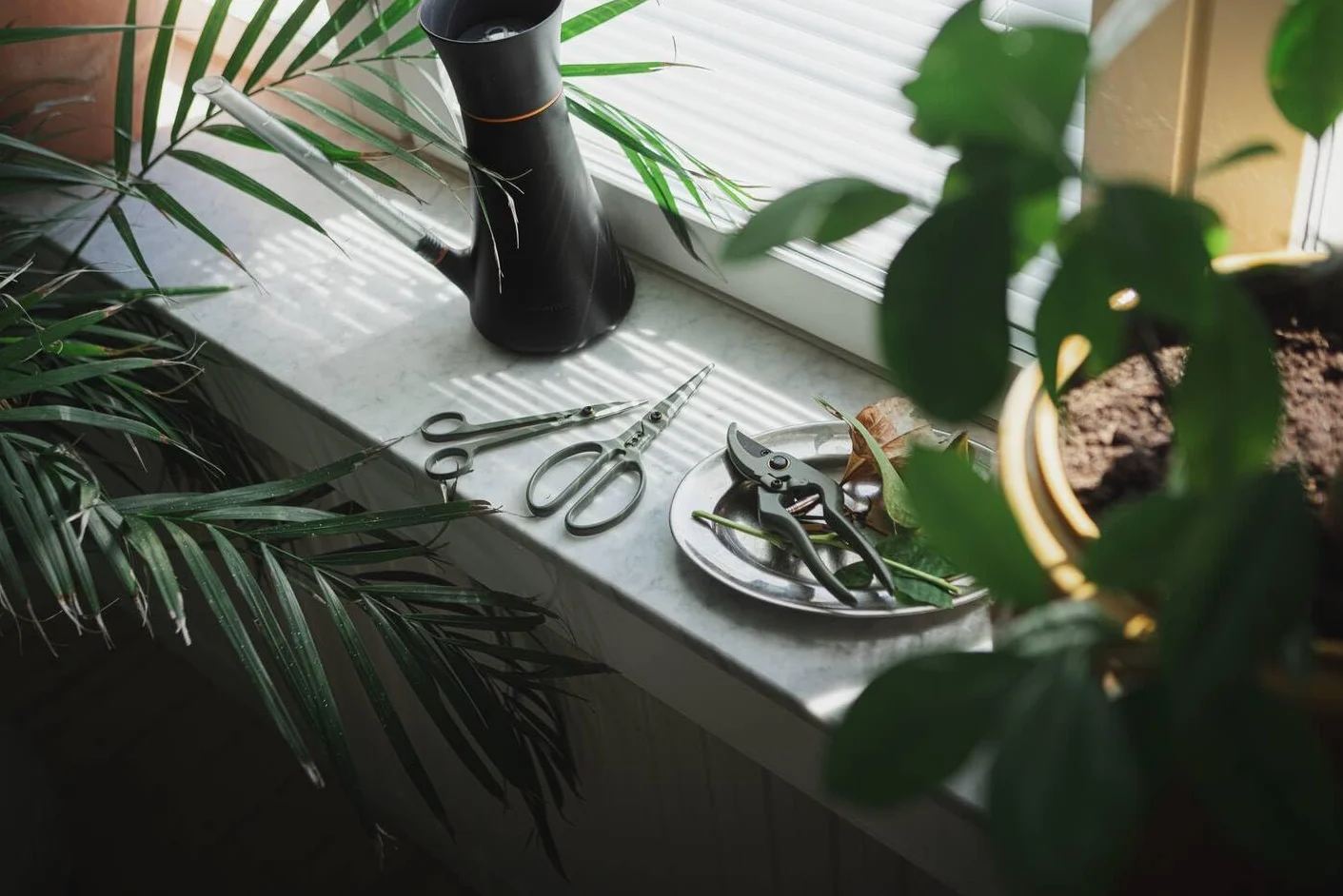 Fiskars Kit de Taille 3 Outils, Jardinage d'Intérieur | Sécateur de Précision, Sécateur et Cisailles pour Plantes avec Support, Acier Inoxydable/Plastique, Vert Foncé/Noir, 1075317