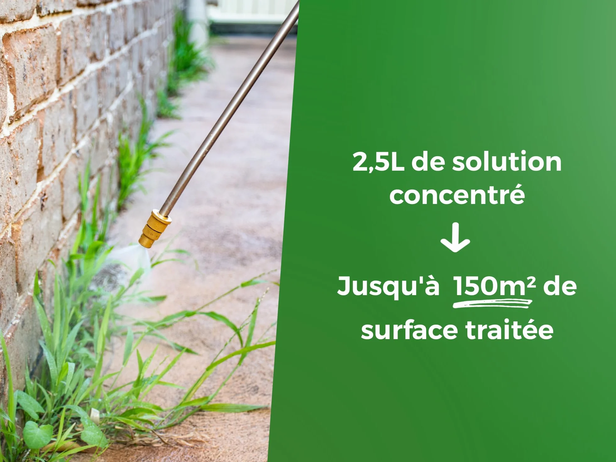 PROTECT EXPERT Désherbant Polyvalent Concentré 700ml PROHERBIO700 Jusqu’à 58m²