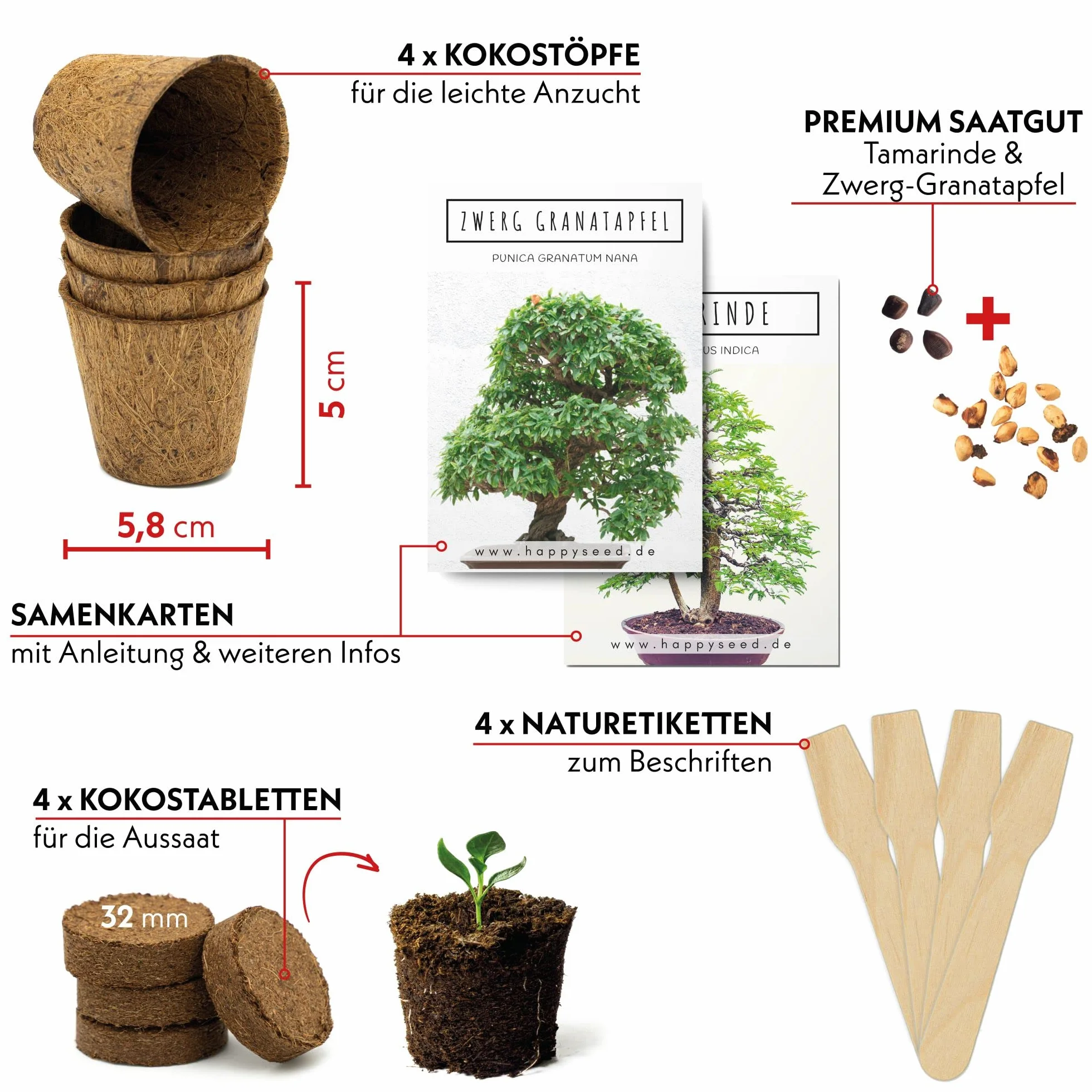 Bonsai Starter Kit - Bonzai set avec pots de noix de coco, graines et terre - Grenadier Nain + Tamarin