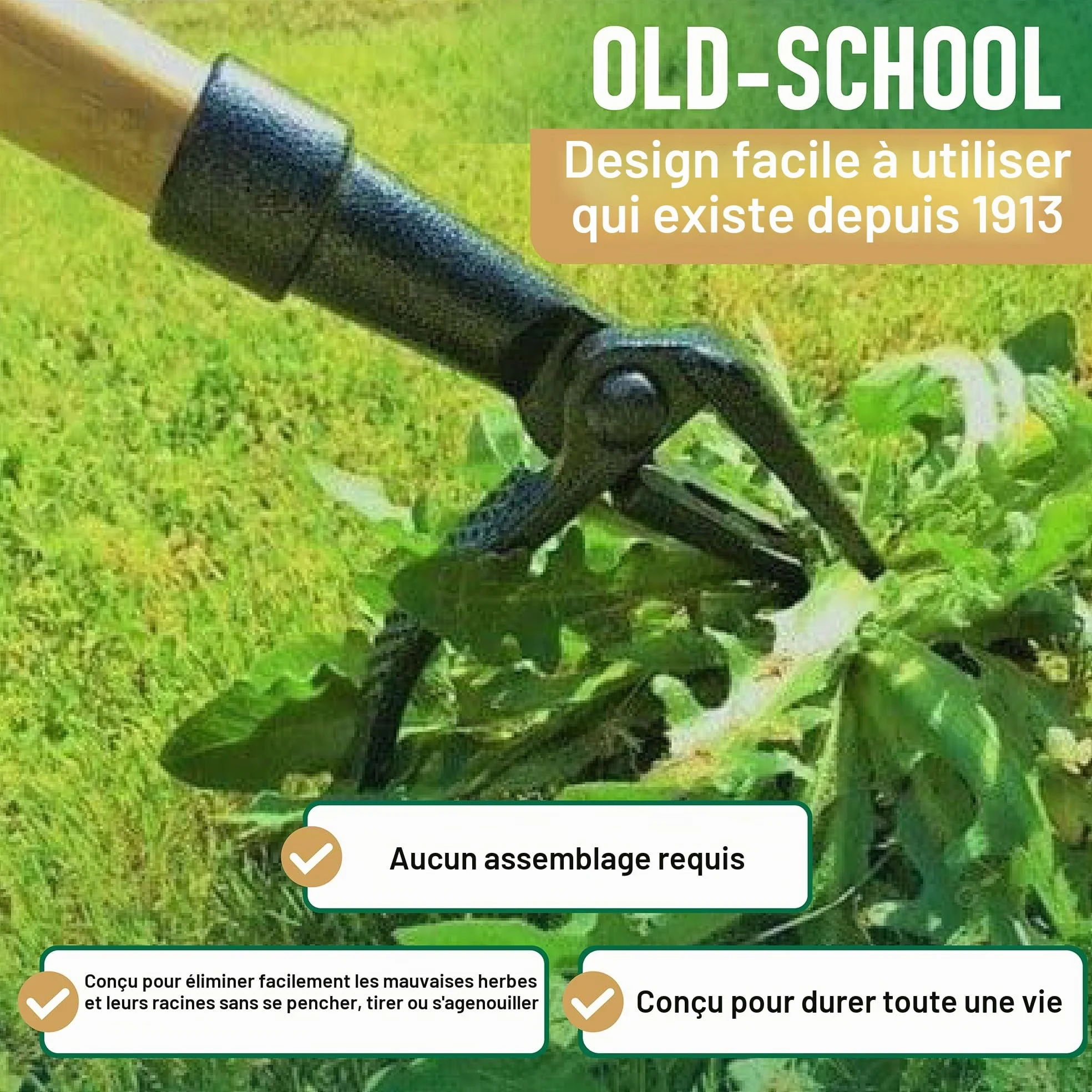 Sarcloir de grand-père, en solide bois de frêne et de résistant à la rouille -