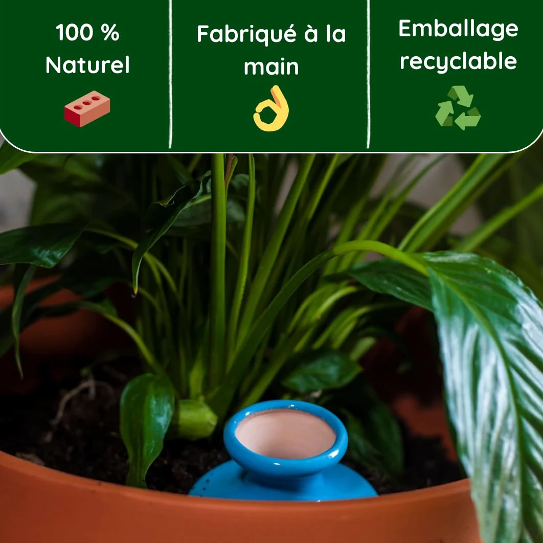 3 oyas à enterrer de 500 ml en couleur avec leur couvercle - ollas pour arroser tous type de plante d'intérieur et extérieur (Bleu)
