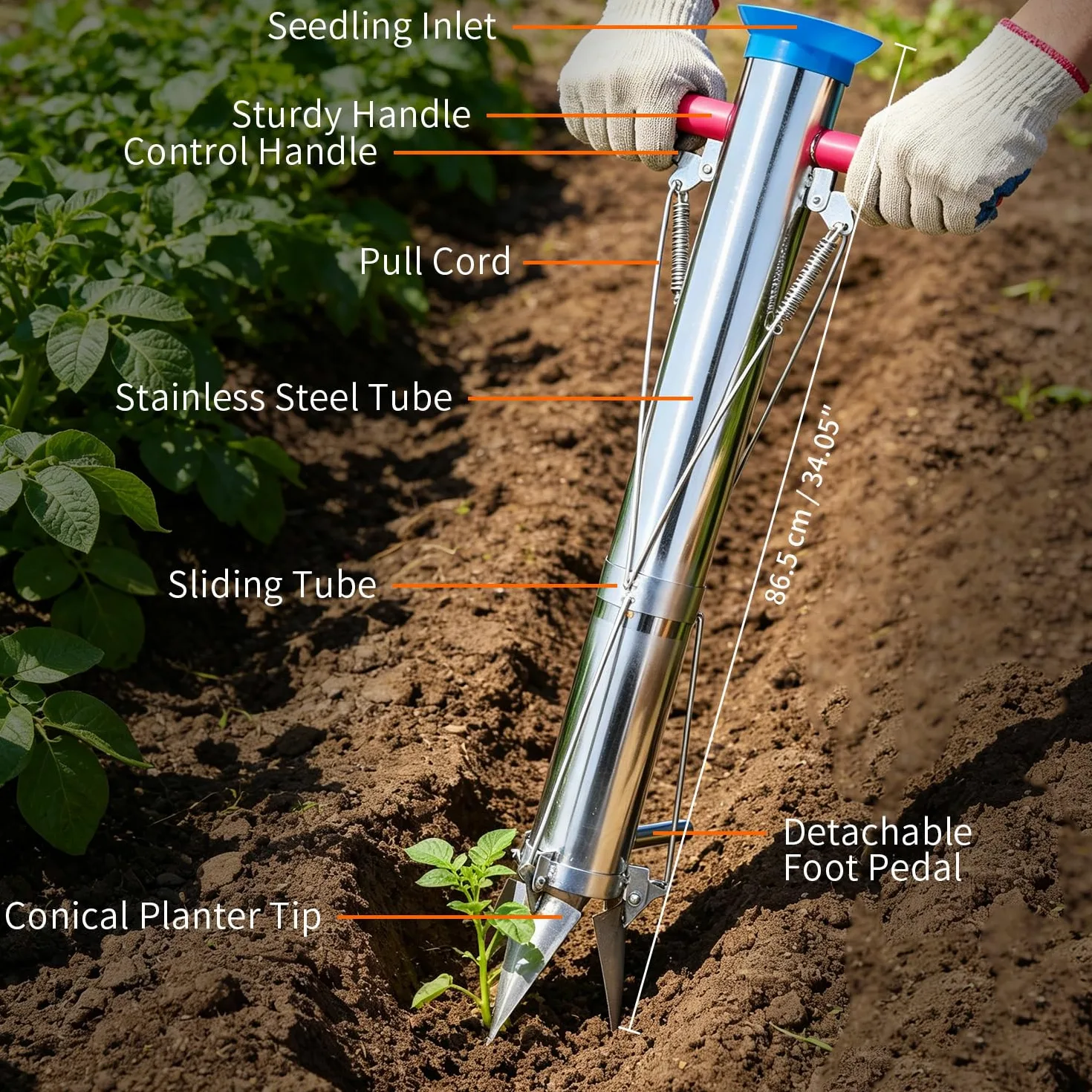 BAUSATZ Lot de 2 outils de transplantation de bulbes de jardin, outil de jardinière de bulbes de 86,4 cm de long, en acier inoxydable, pour transplanter des légumes, planteur de semis | Lot de 2 pièces