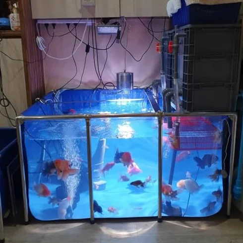 Aquarium d'intérieur autoportant Lar avec Coque en Acier, revêtement Souple en PVC et fenêtre d'observation - Convient aux Aquariums et aux piscines, Facile à Assembler