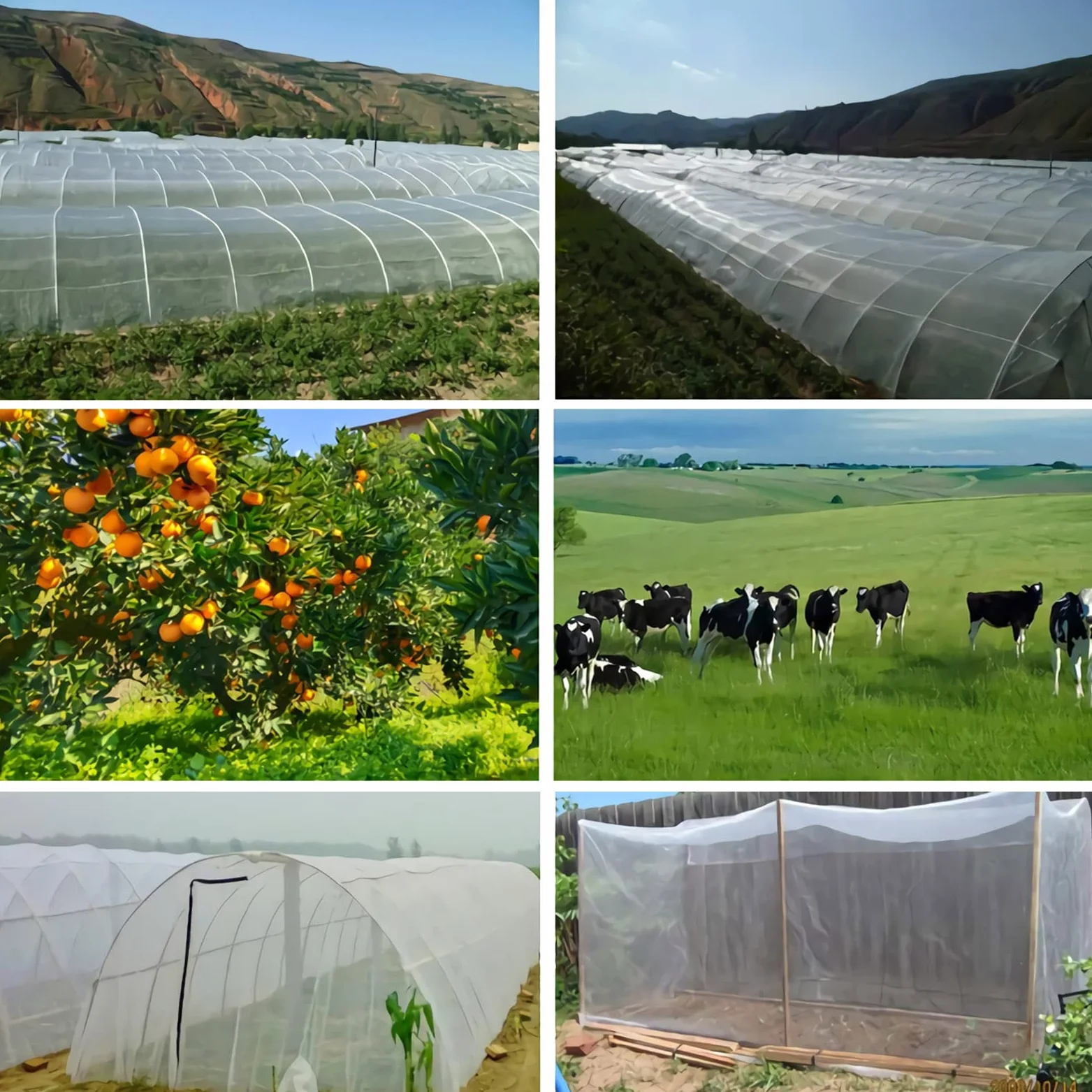 Filet anti-insectes de jardin - Tunnel de culture en maille fine pour protéger les légumes, les plantes, les fruits, les fleurs des insectes, des oiseaux, des insectes