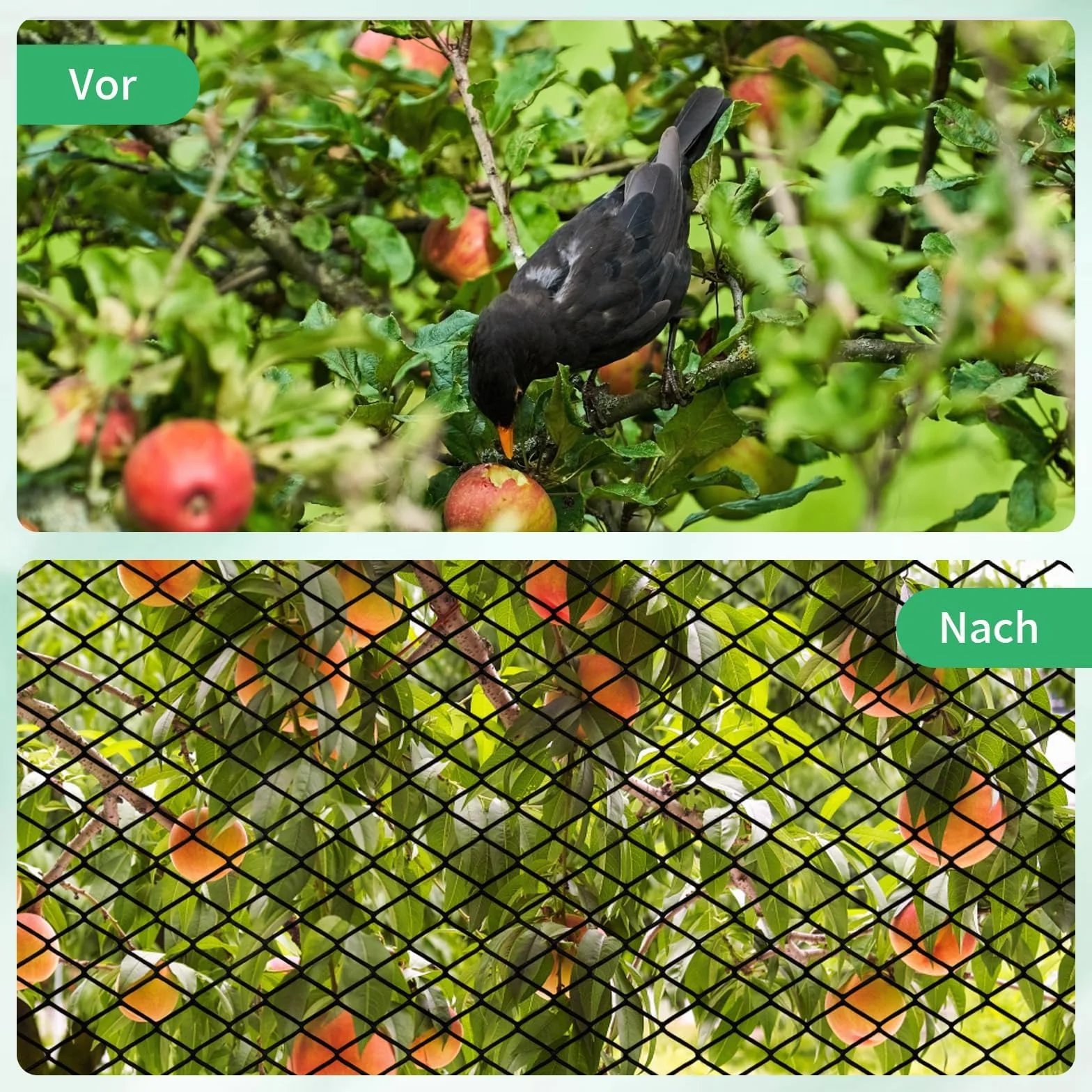 Filet de bassin à mailles fines polyéthylène 4 x 6 m noir protection oiseaux