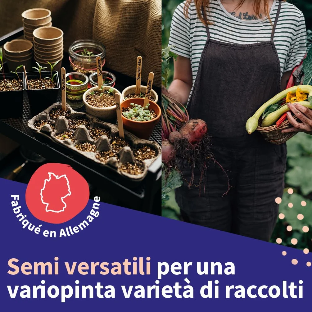 Légumes rares kit cadeau graines 8 variétés