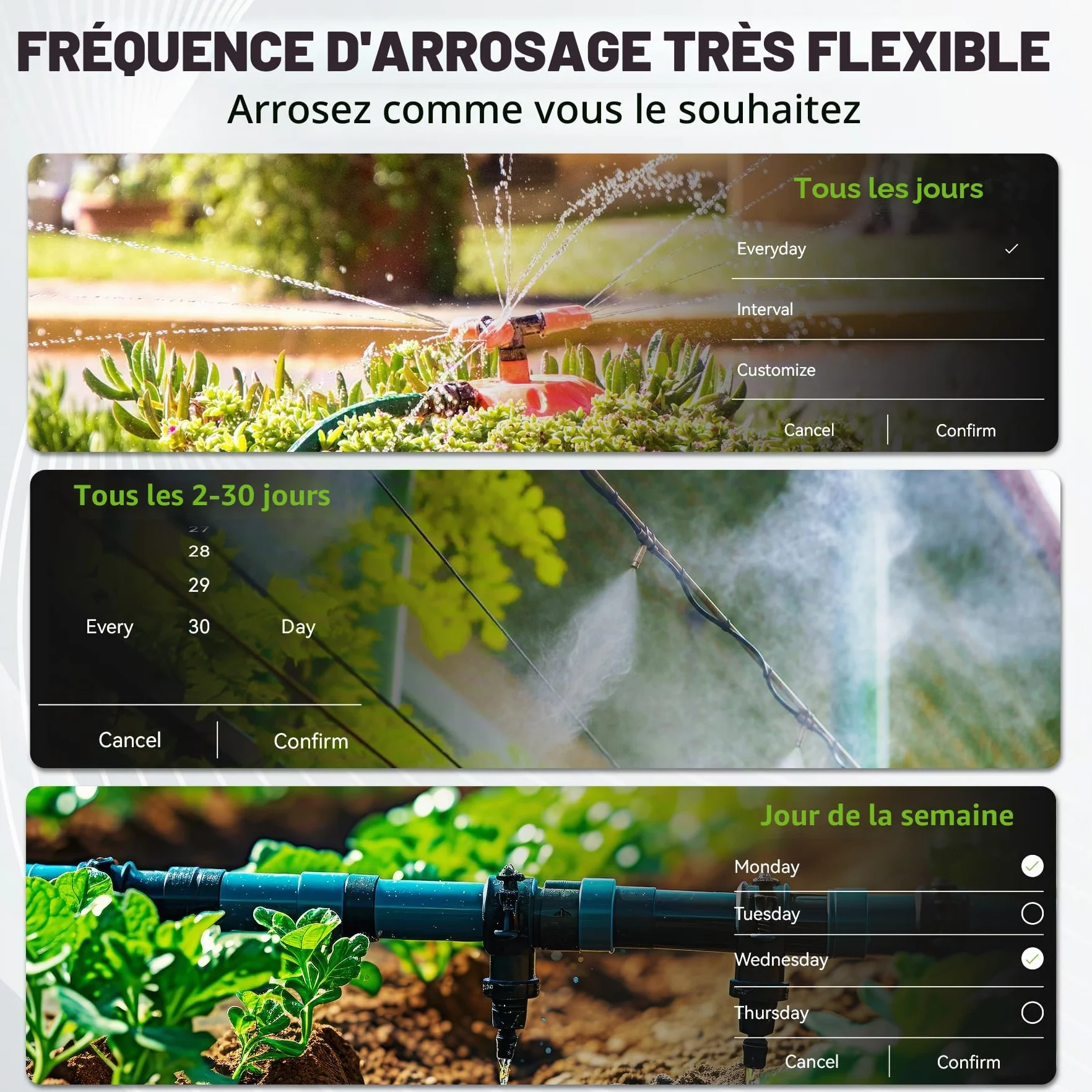 RAINPOINT Programmateur Arrosage WiFi 2 Sorties Laiton Automatique Jardin Application Commande Vocale