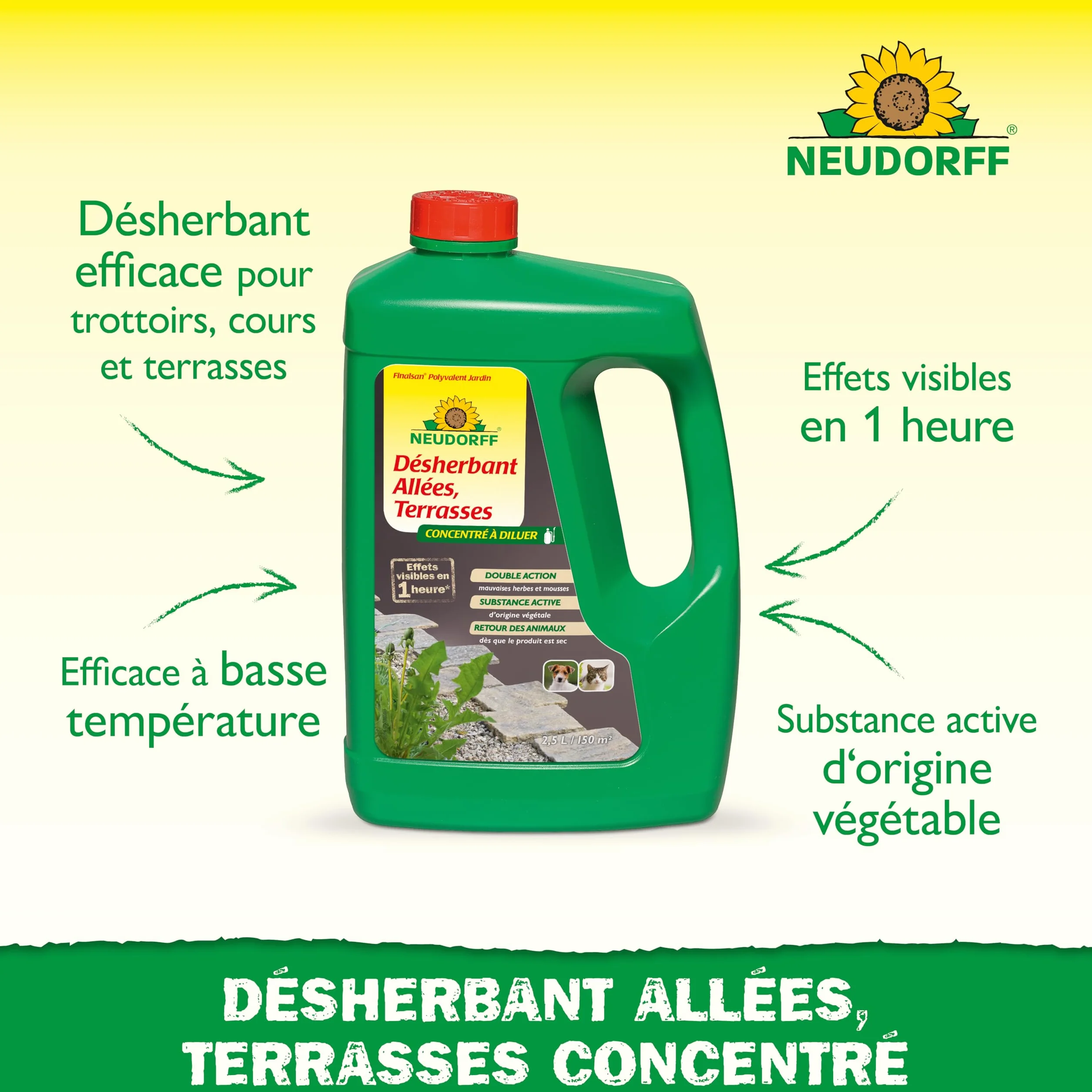 Neudorff Finalsan Désherbant Allées Terrasses 2,5 L sans glyphosate action rapide