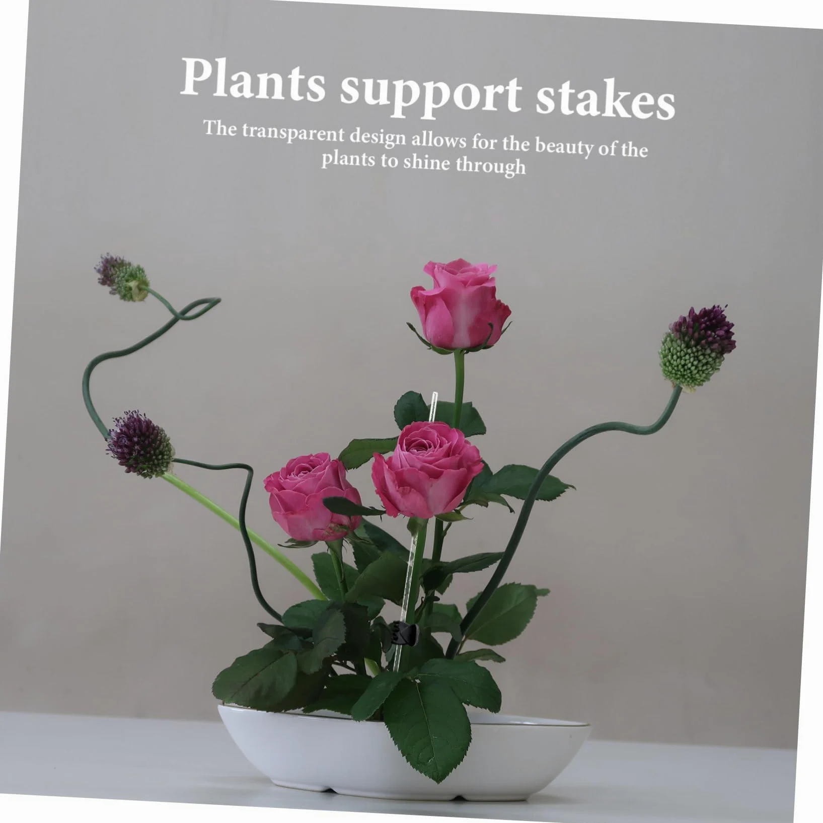 5 Ensembles Support De Plante Transparent Lot de Piquets pour Plantes Grimpantes Support Durable 10 Pièces * 5