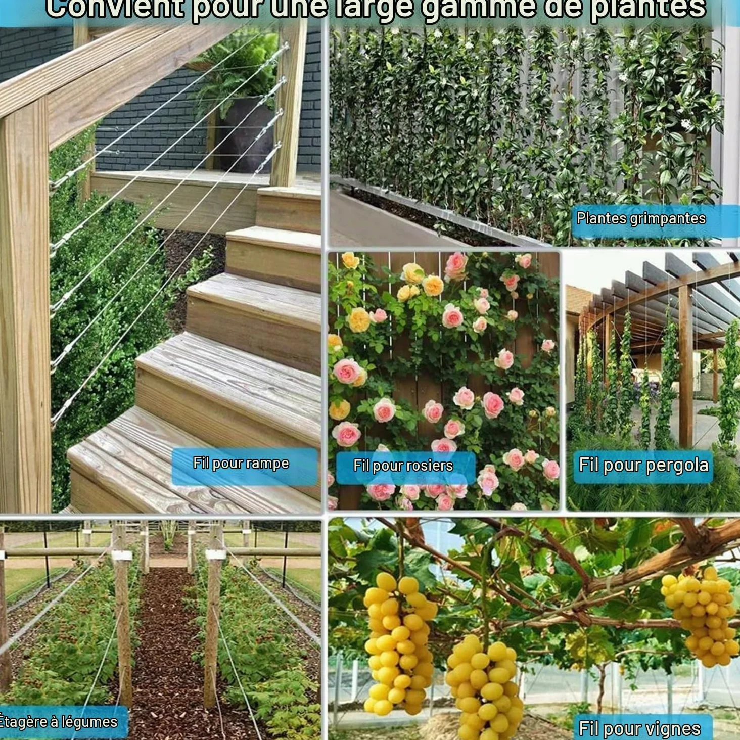 Support pour Plantes Grimpantes,Kit Palissage Plantes Grimpantes,12m,Système Professionnel Complet,Comprend Les Supports Muraux Et Le Câble en Acier De 3 mm (8 Supports,12 Mètres De Câble)