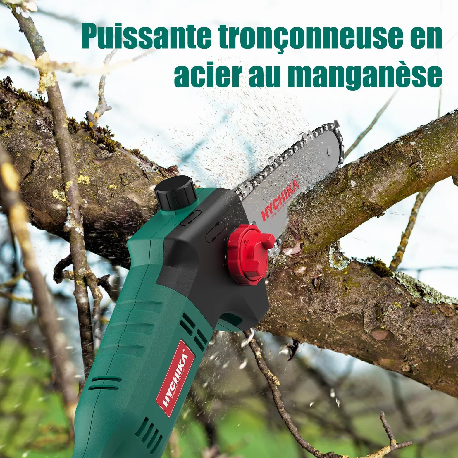 HYCHIKA Tronconneuse Telescopique Electrique 750 W, Coupe Branche Telescopique de 162 à 220 CM, Tronconneuse a Perche, Vitesse de Chaîne 11 m/s, Pole Saw pour Élagage des Arbres